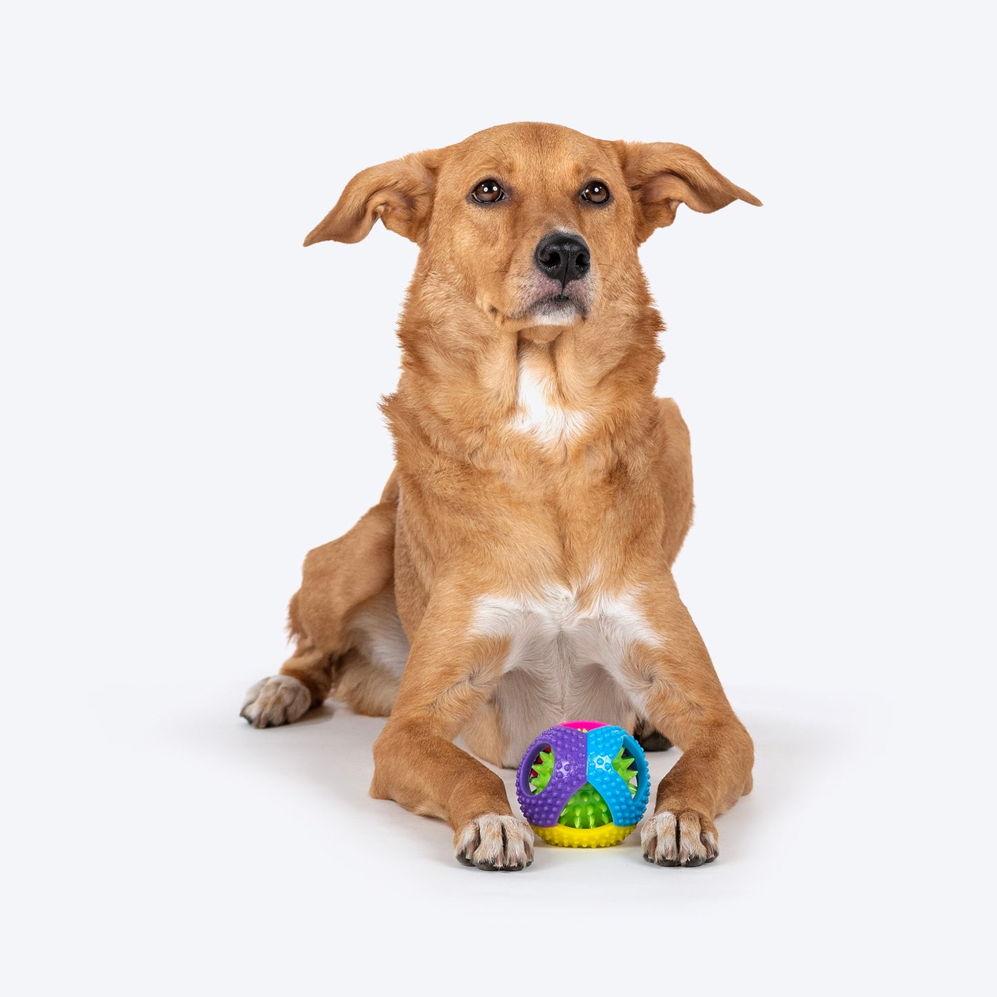 TLC Multivibes Chew Toy For Dog - Multicolor - Heads Up For Tails