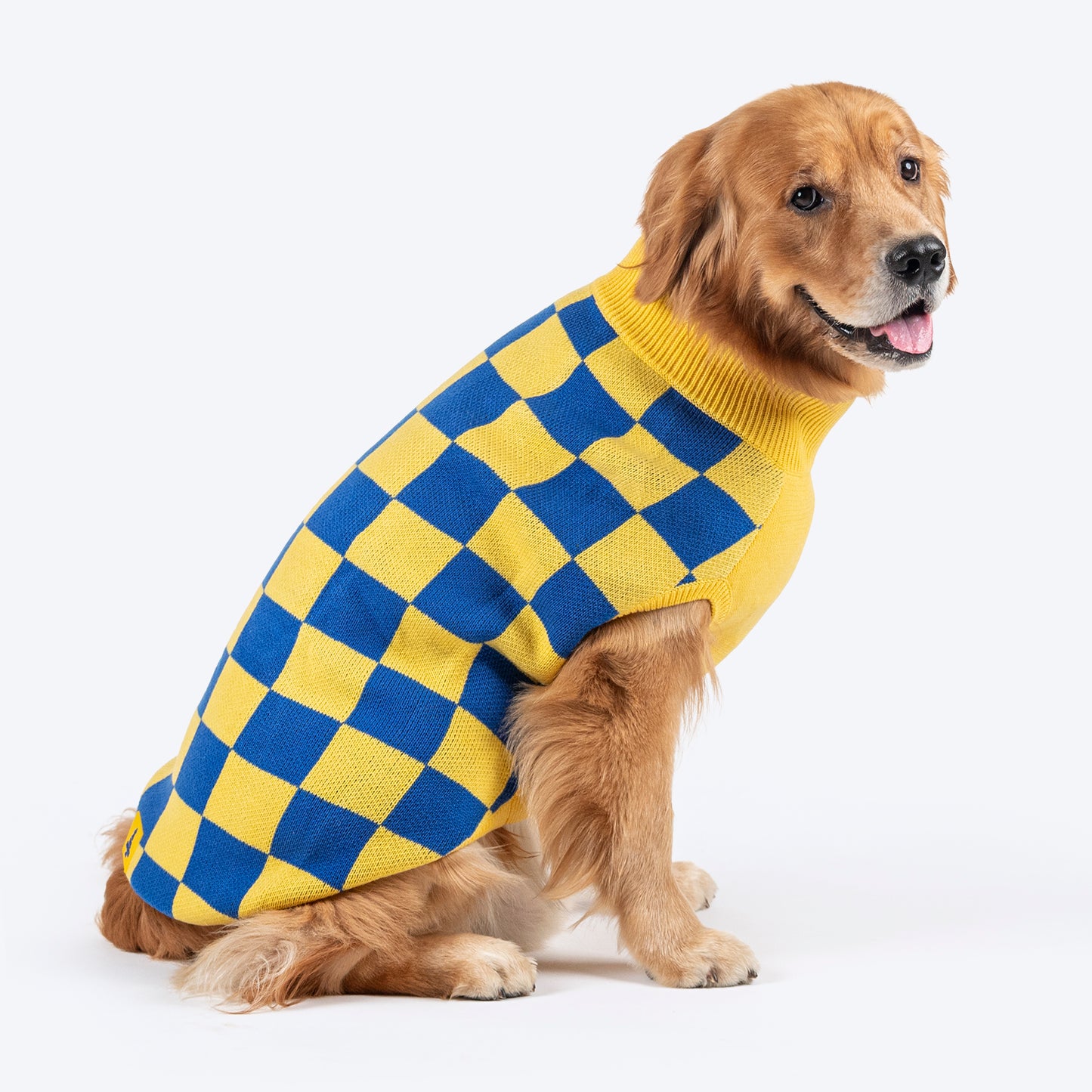 TLC Sunny Checks Sweater For Dog - Yellow & Blue - Heads Up For Tails