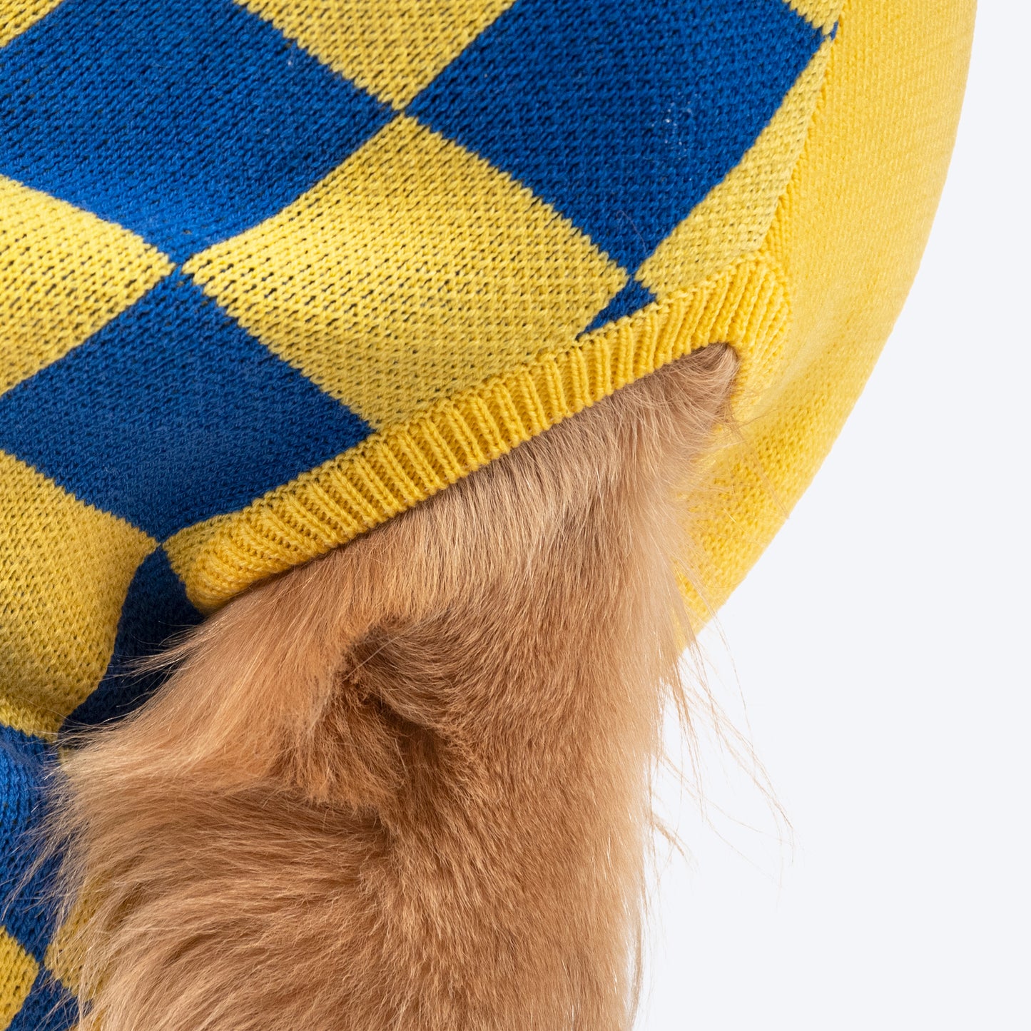 TLC Sunny Checks Sweater For Dog - Yellow & Blue - Heads Up For Tails