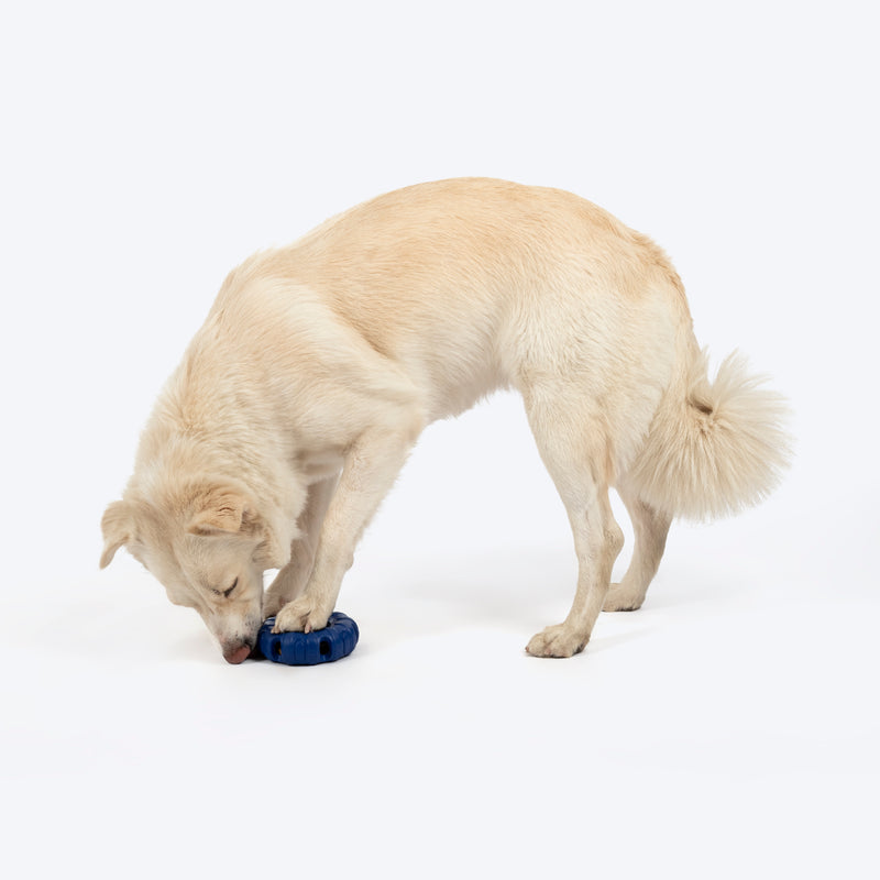 HUFT Chewtastic Roll-A-Tyre Chew Toy For Dog - Blue - Heads Up For Tails