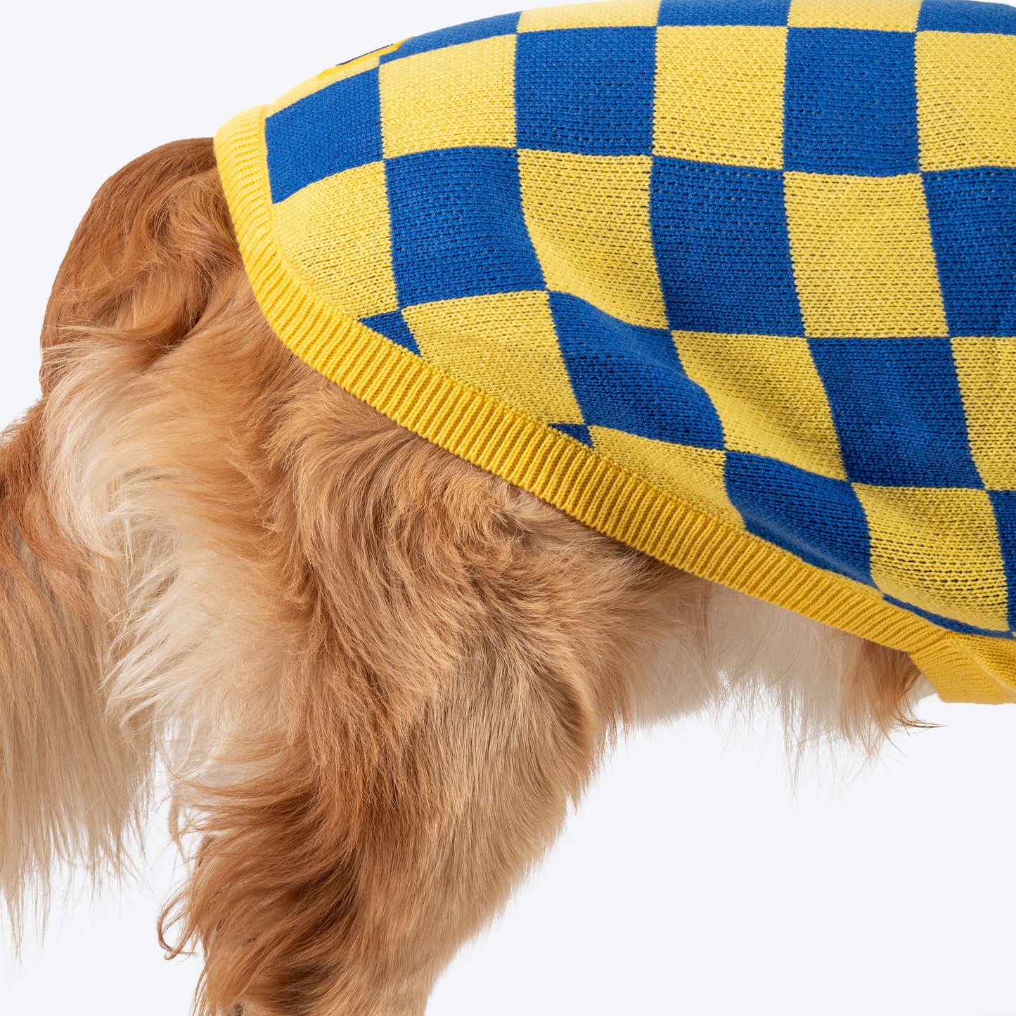 TLC Sunny Checks Sweater For Dog - Yellow & Blue - Heads Up For Tails