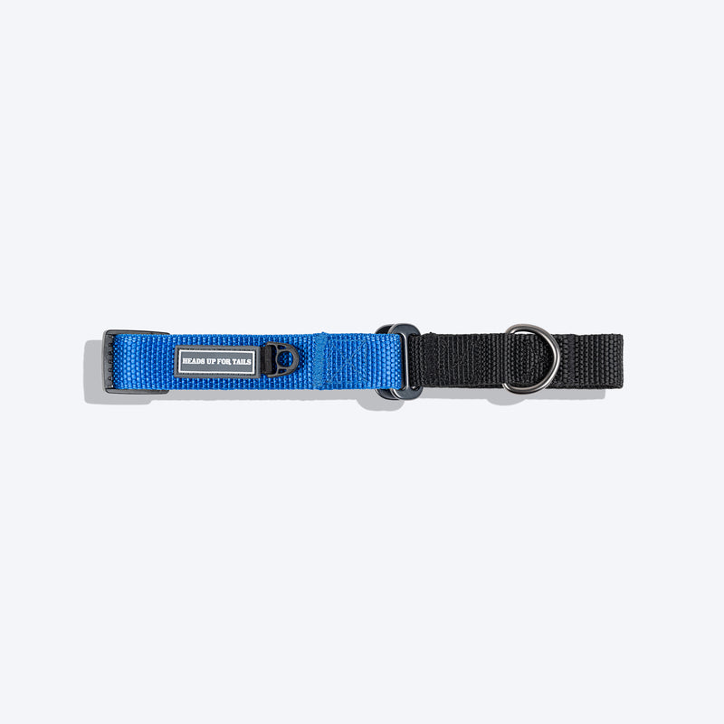 HUFT Martingale Collar For Dog - Cobalt Blue & Classic Black - Heads Up For Tails