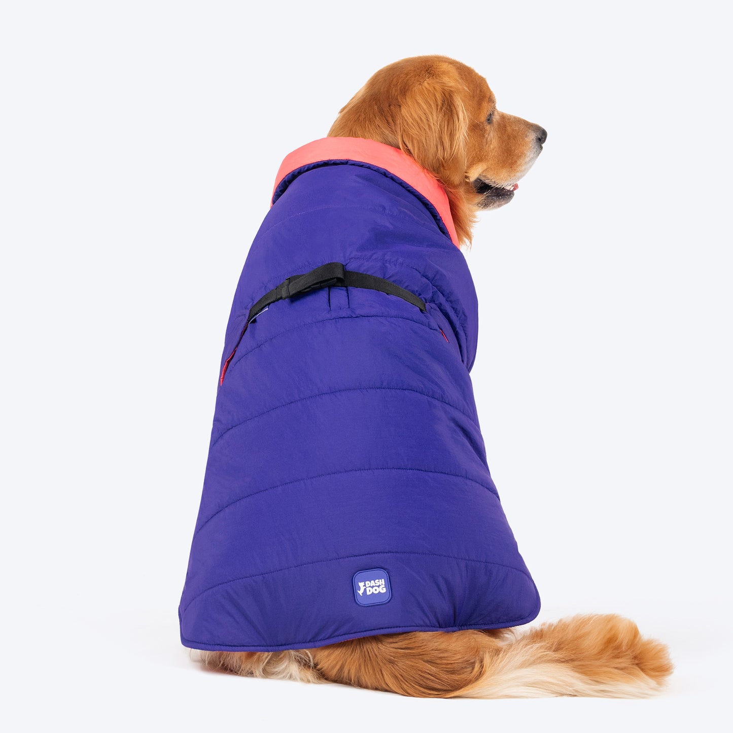 Dash Dog Swift Strides Puffer Jacket For Dog - Purple & Pink - Heads Up For Tails