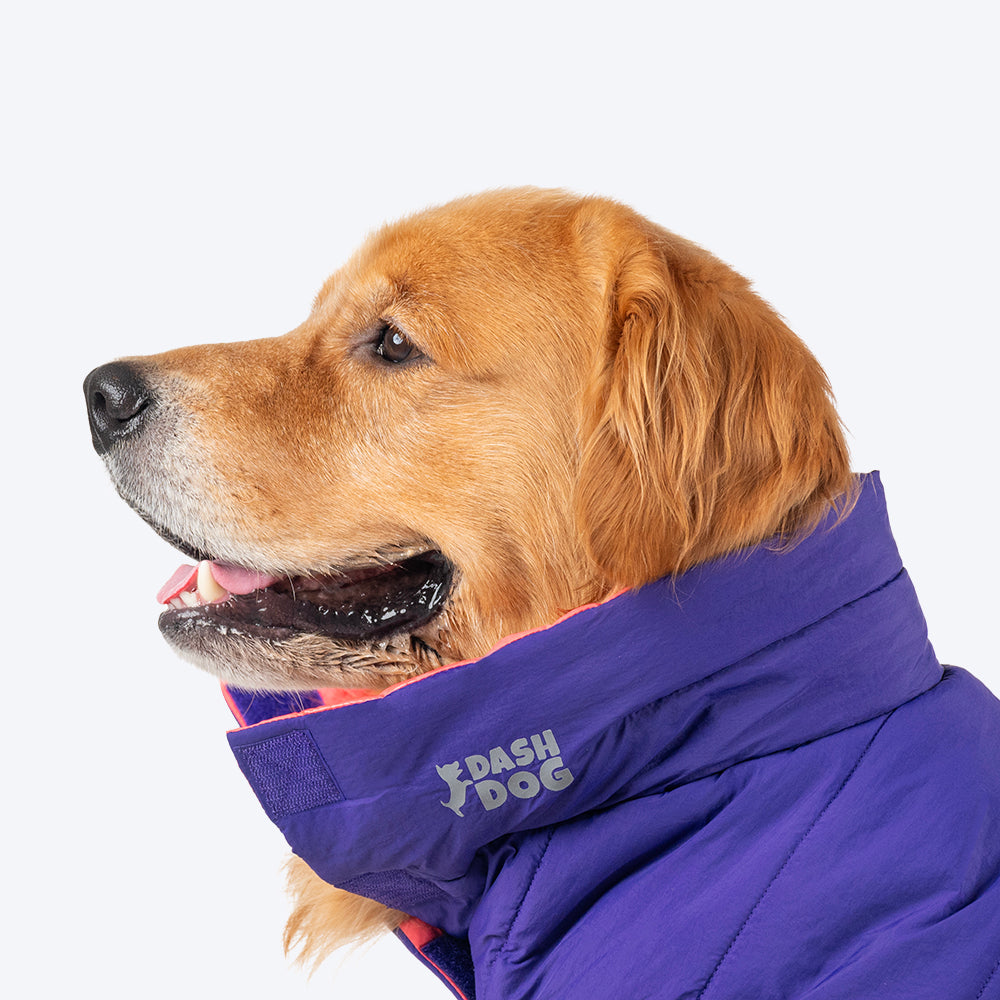 Dash Dog Swift Strides Puffer Jacket For Dog - Purple & Pink - Heads Up For Tails