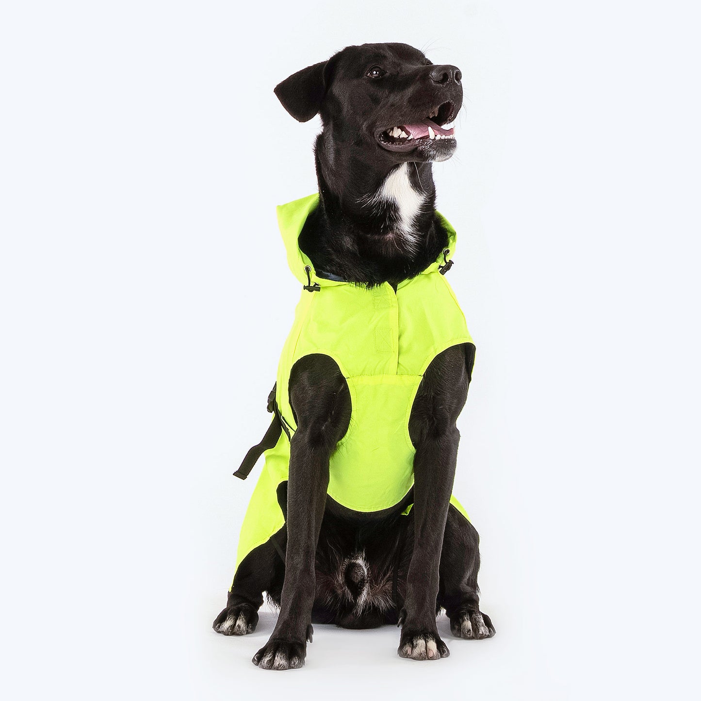 HUFT Neon Shower Dog Raincoat - Neon Green & Pink - Heads Up For Tails