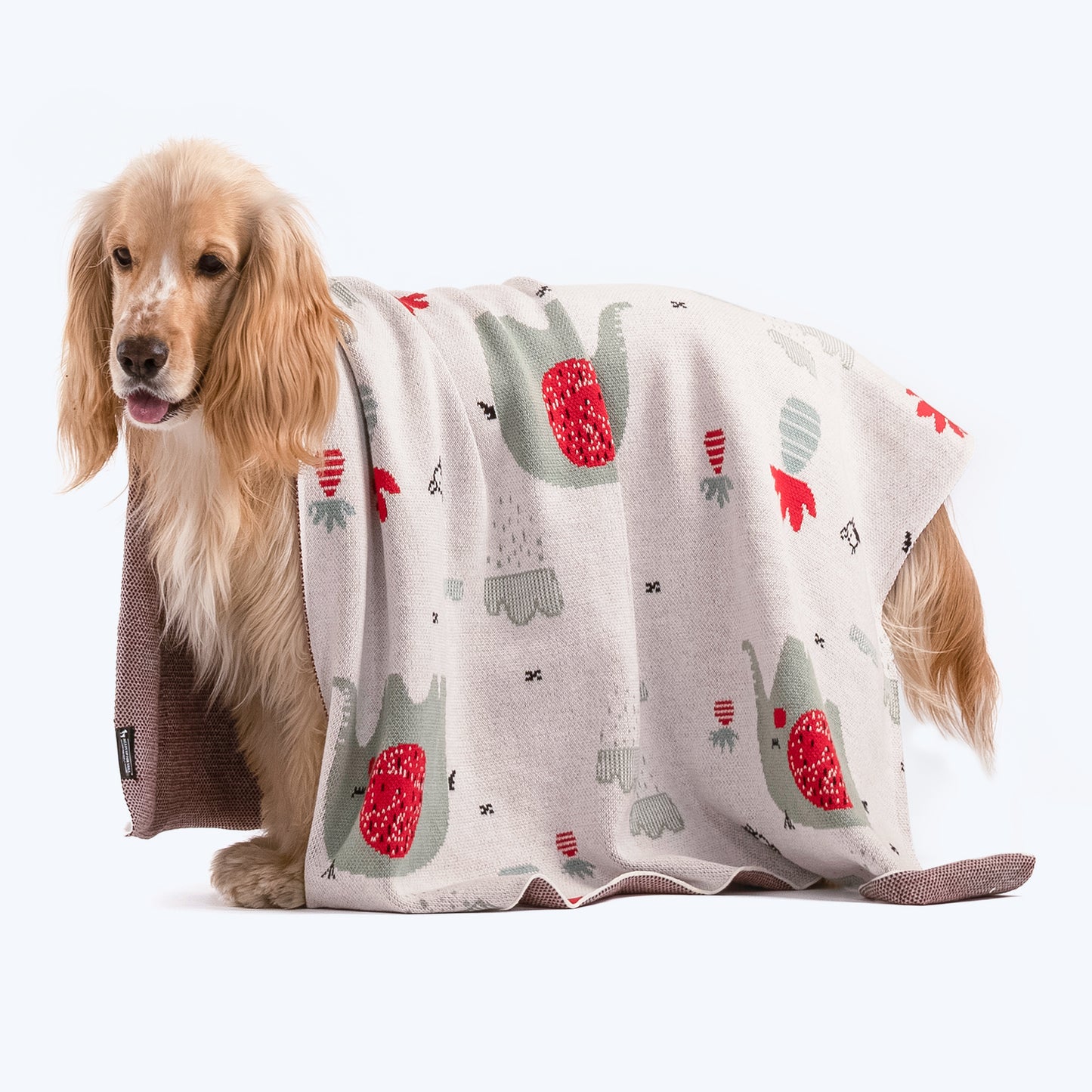 HUFT Elephant Dreams Blanket For Pets - 03