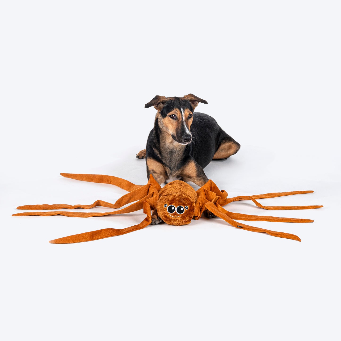 HUFT Webby Long-Legs Plush Toy For Dog - Brown - Heads Up For Tails