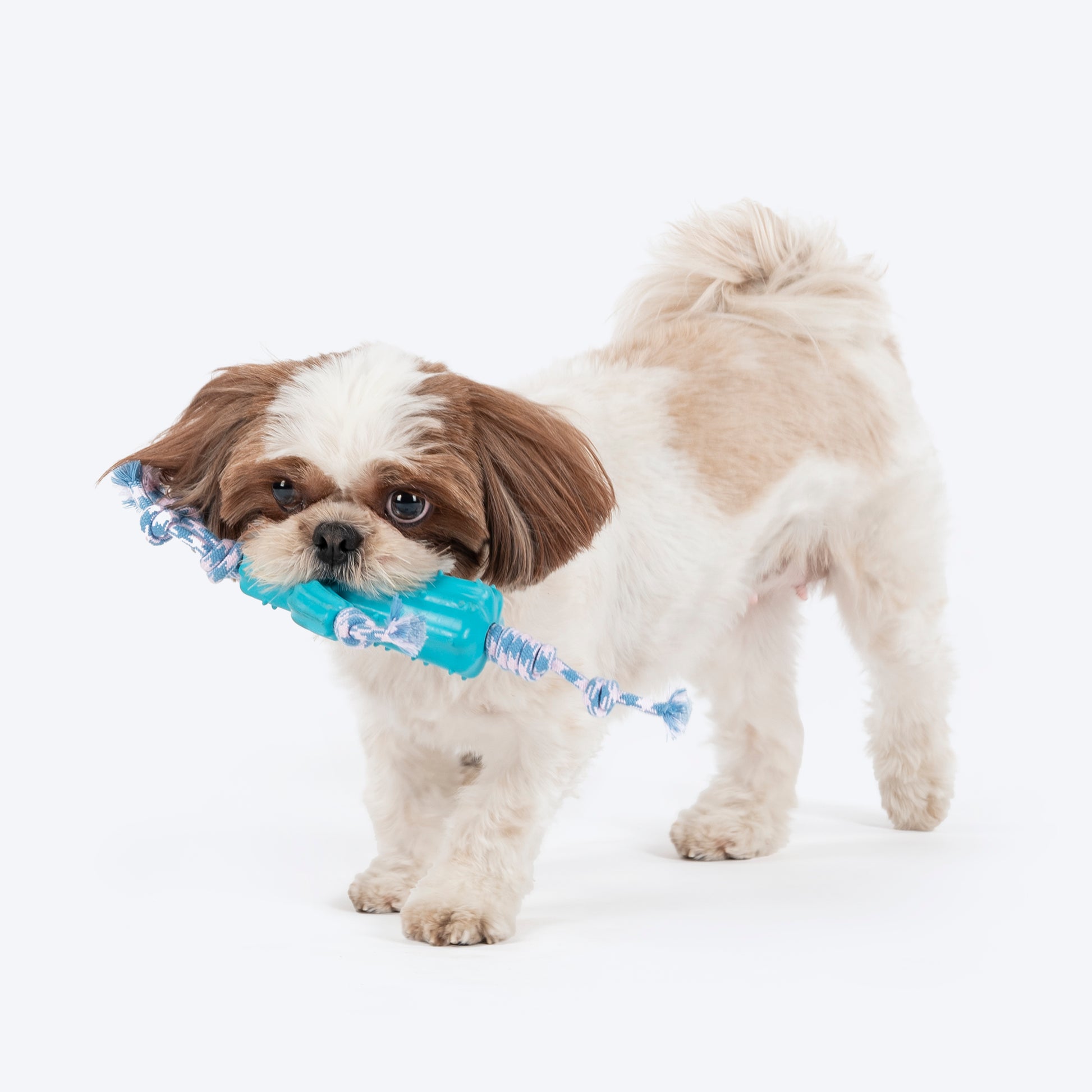 Dash Dog Texas Twist Rope Toy For Dog - White & Turquoise_02