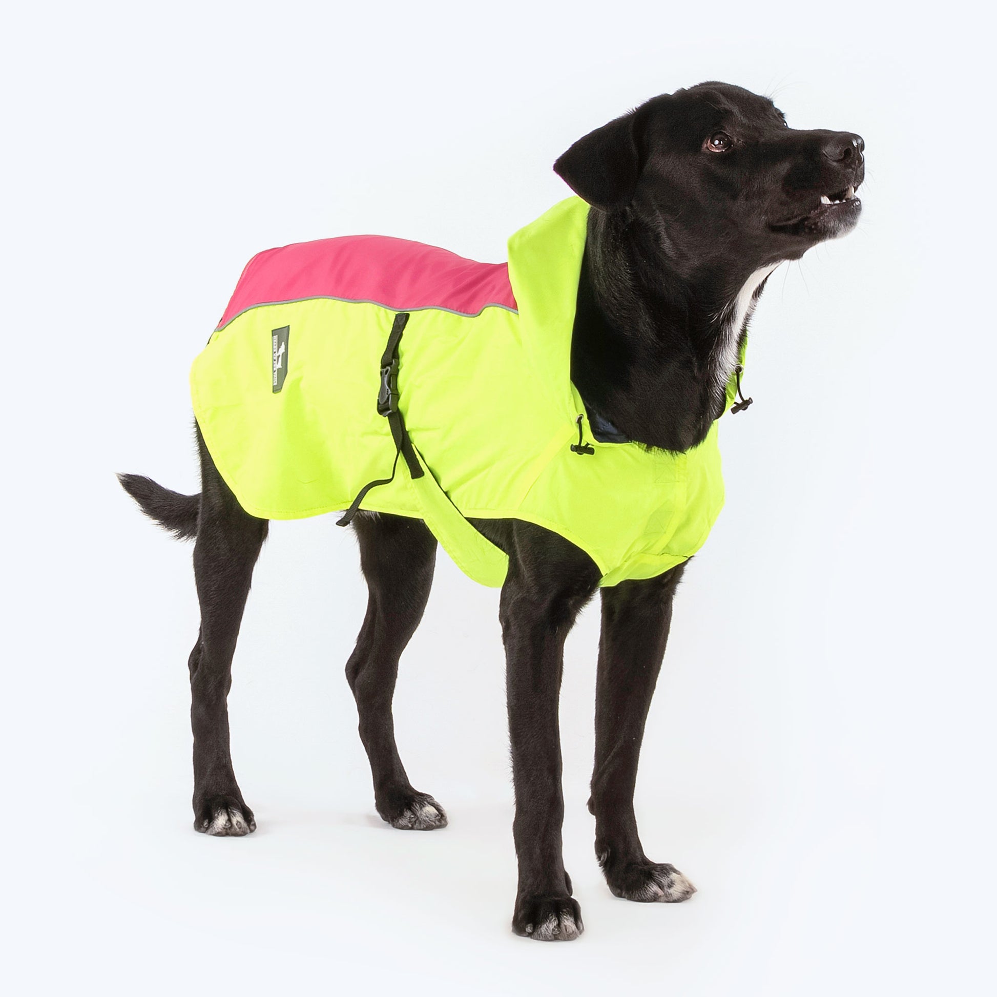 HUFT Neon Shower Dog Raincoat - Neon Green & Pink - Heads Up For Tails