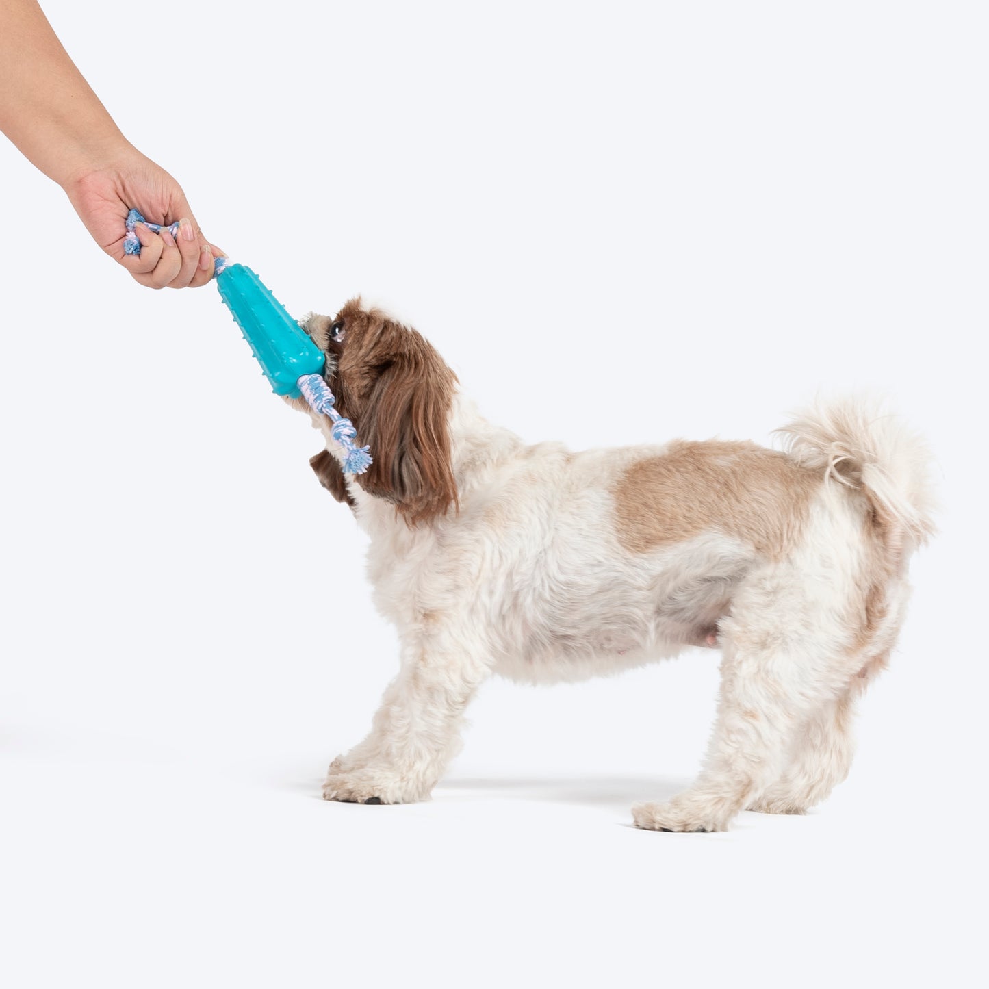Dash Dog Texas Twist Rope Toy For Dog - White & Turquoise_03