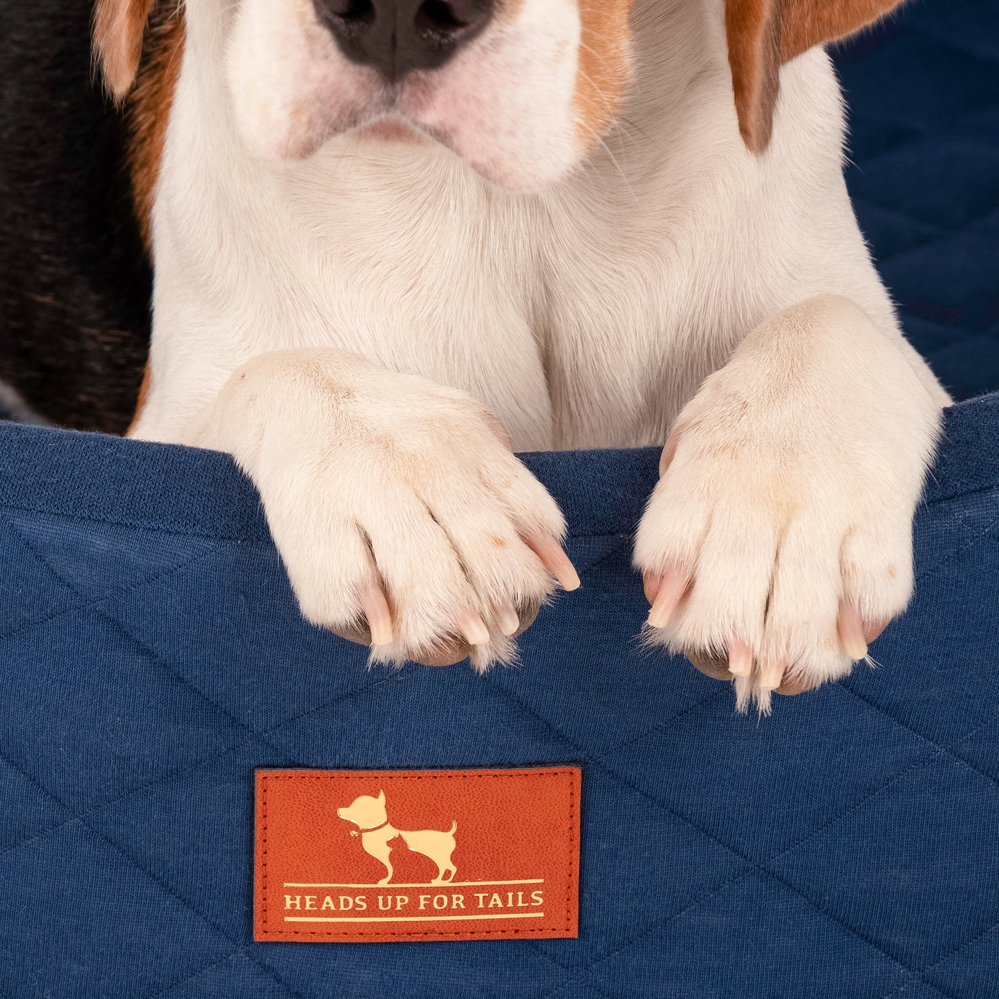 HUFT Quilted Basket Pet Bed - Egyptian Blue - Heads Up For Tails