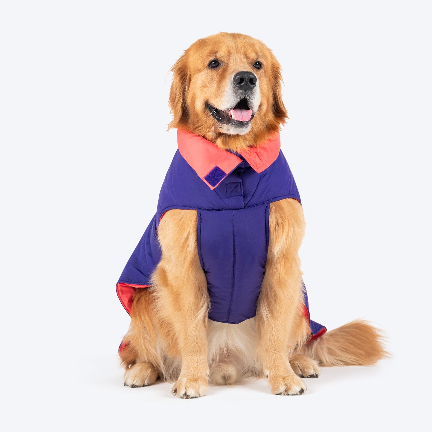 Dash Dog Swift Strides Puffer Jacket For Dog - Purple & Pink - Heads Up For Tails