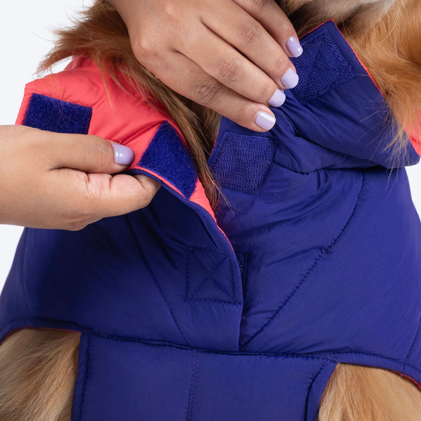 Dash Dog Swift Strides Puffer Jacket For Dog - Purple & Pink - Heads Up For Tails