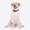 HUFT Prism Patterns Collar For Dog - Blue - Heads Up For Tails