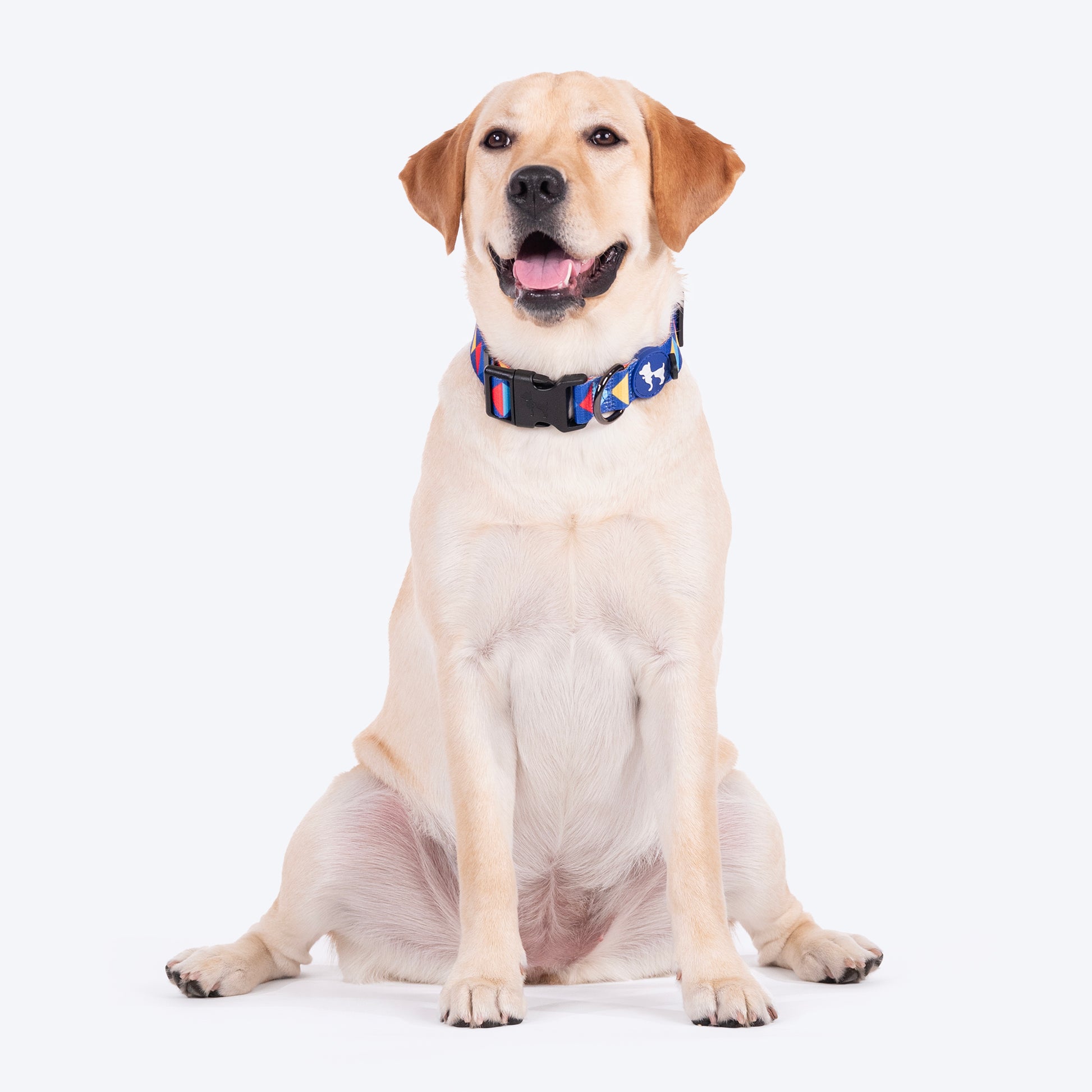 HUFT Prism Patterns Collar For Dog - Blue - Heads Up For Tails