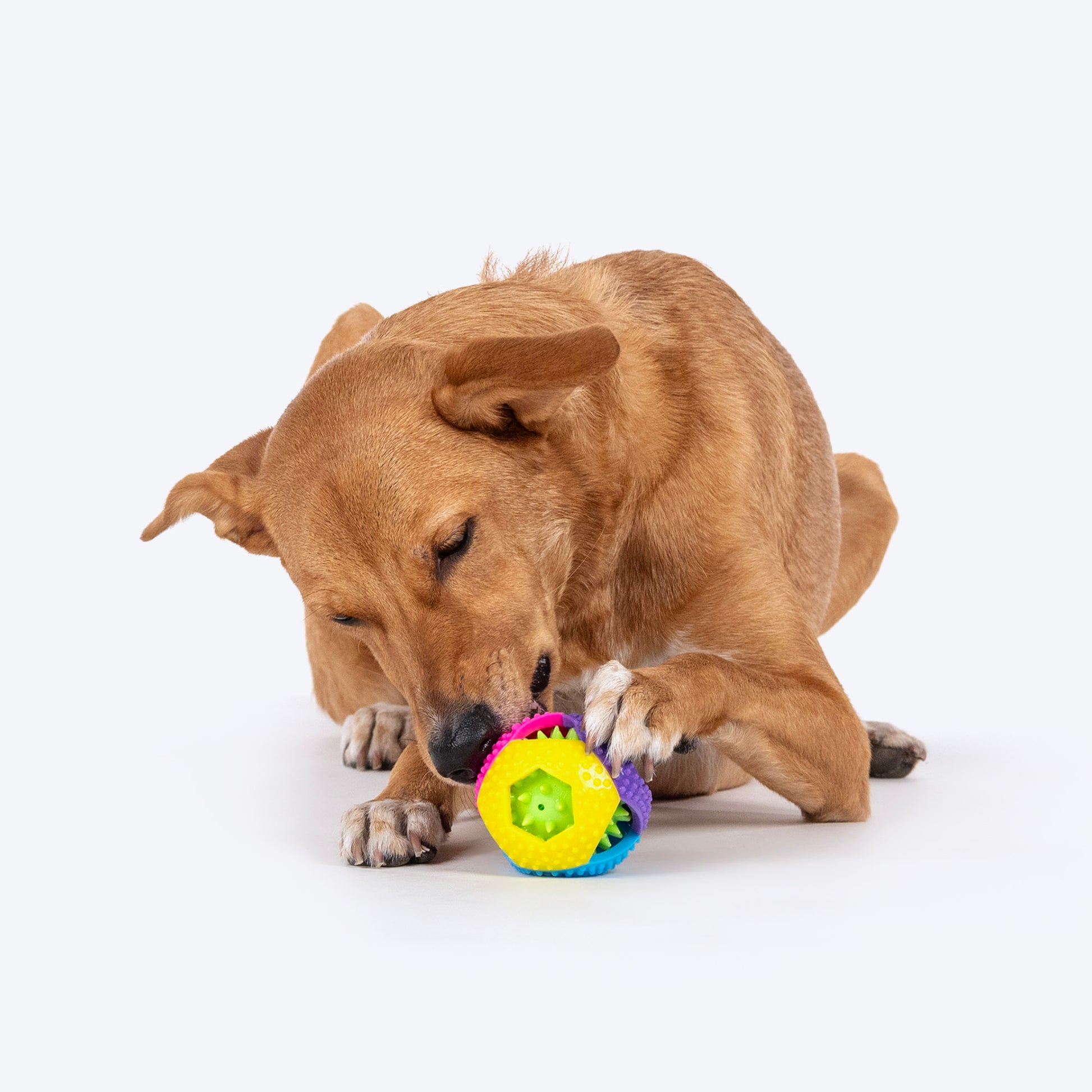 TLC Multivibes Chew Toy For Dog - Multicolor - Heads Up For Tails