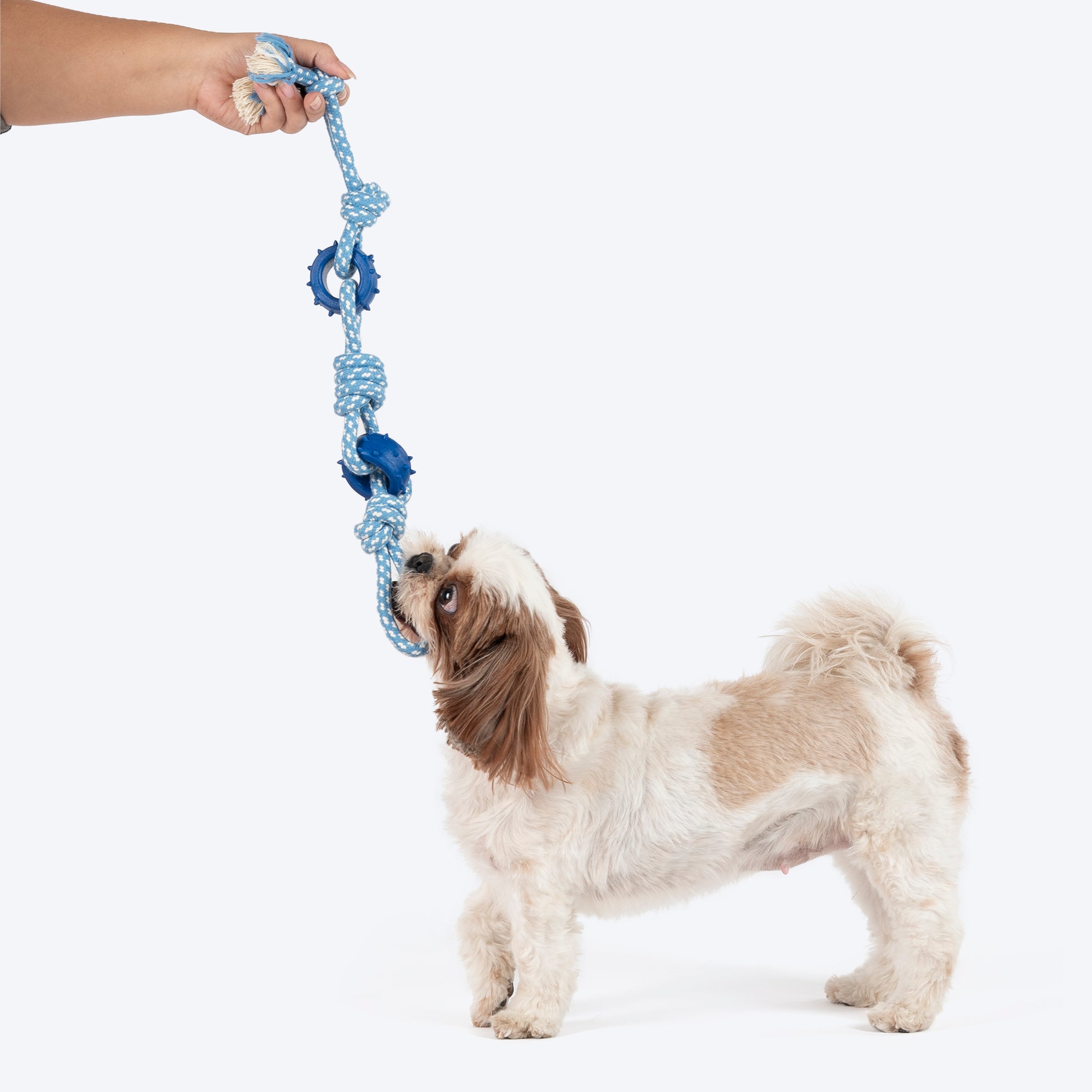Dash Dog Tugger Trail Rope Toy For Dog - Blue & White - Heads Up For Tails