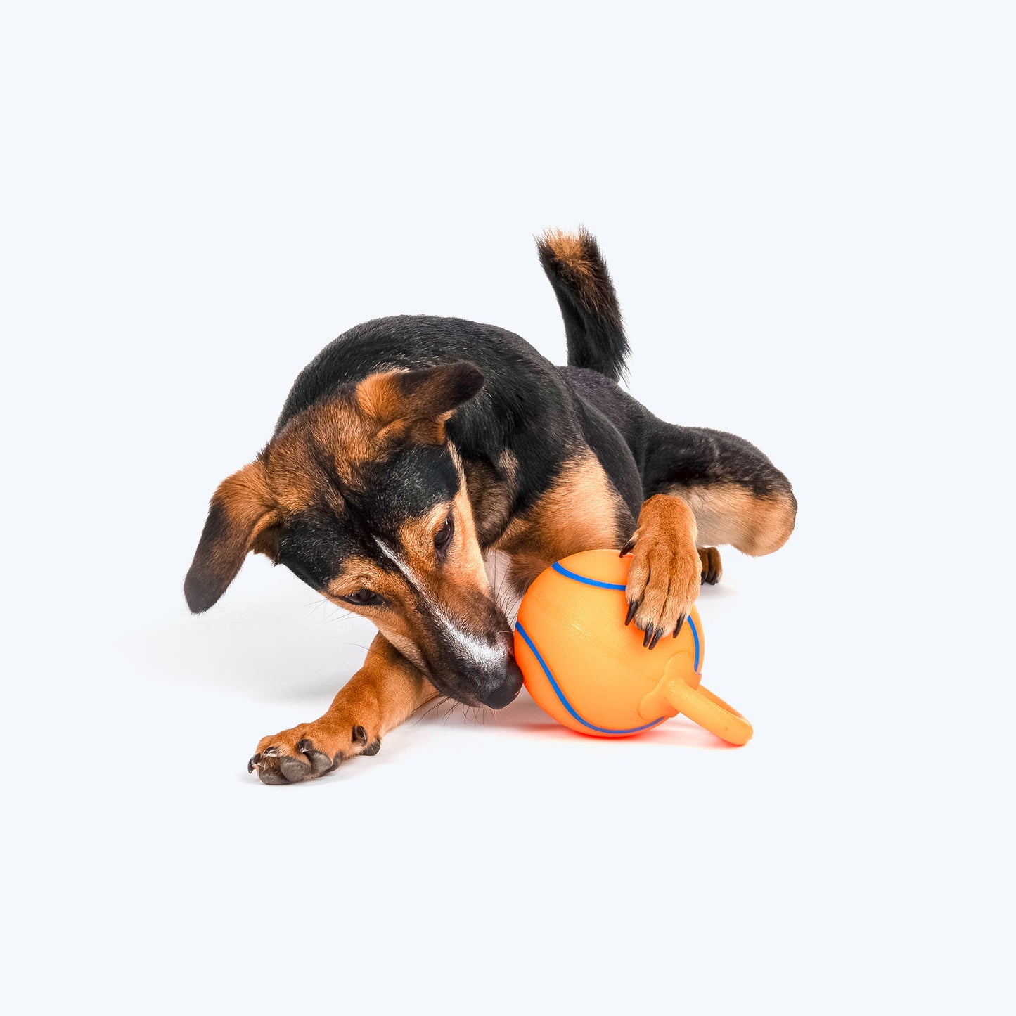 HUFT Basics Kettlebell Squeaky Toy For Dog - Heads Up For Tails