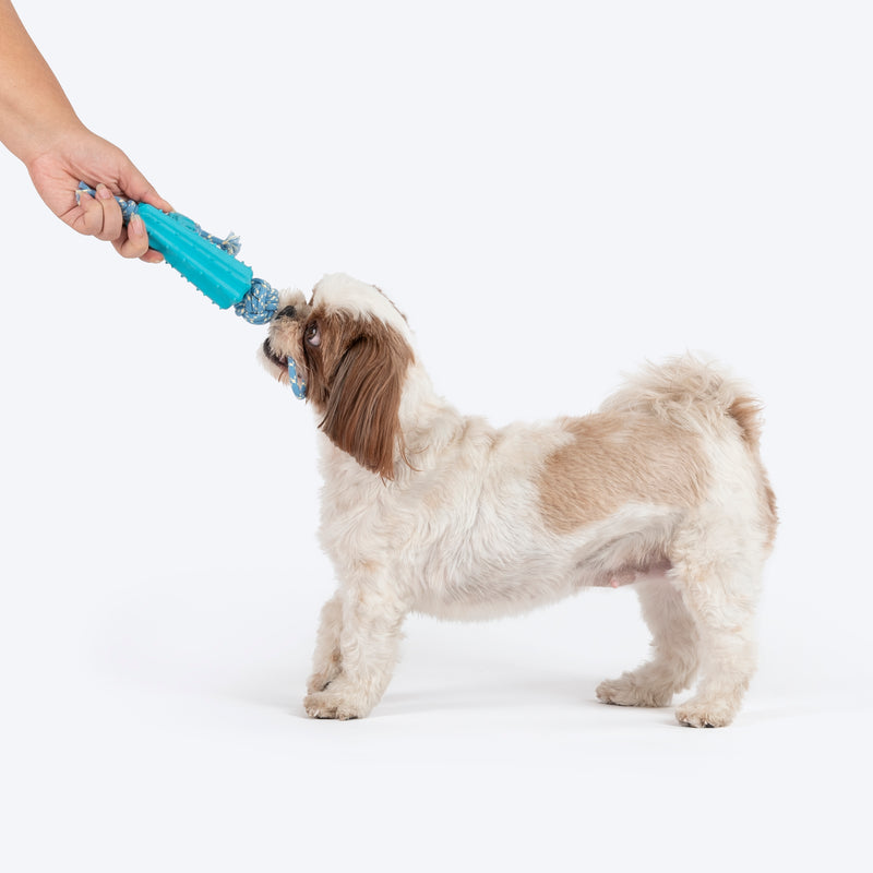 Dash Dog Texas Tug Rope Toy For Dog - White & Turquoise_03