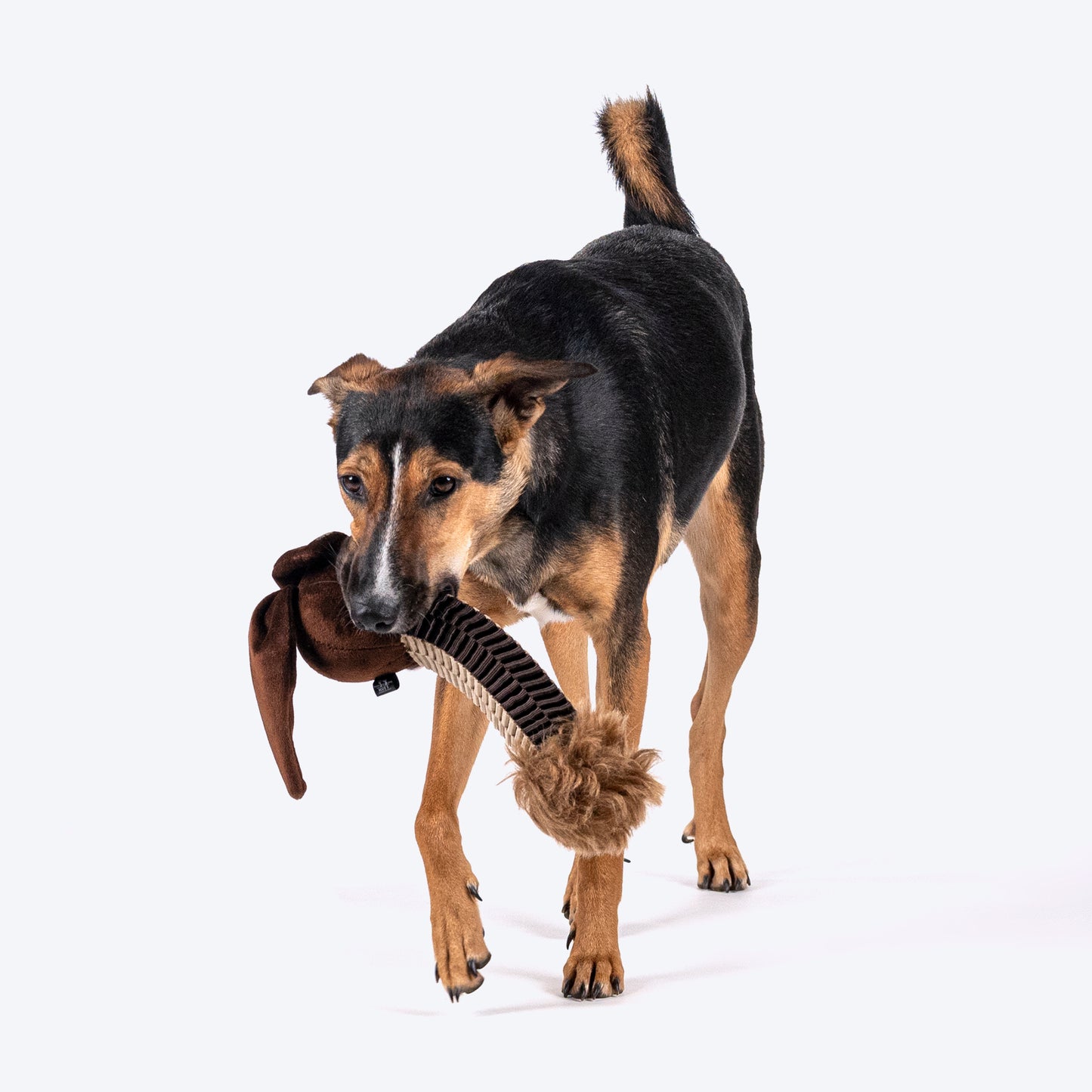 HUFT Tuggie Bunnie Plush Toy For Dog - Brown - Heads Up For Tails