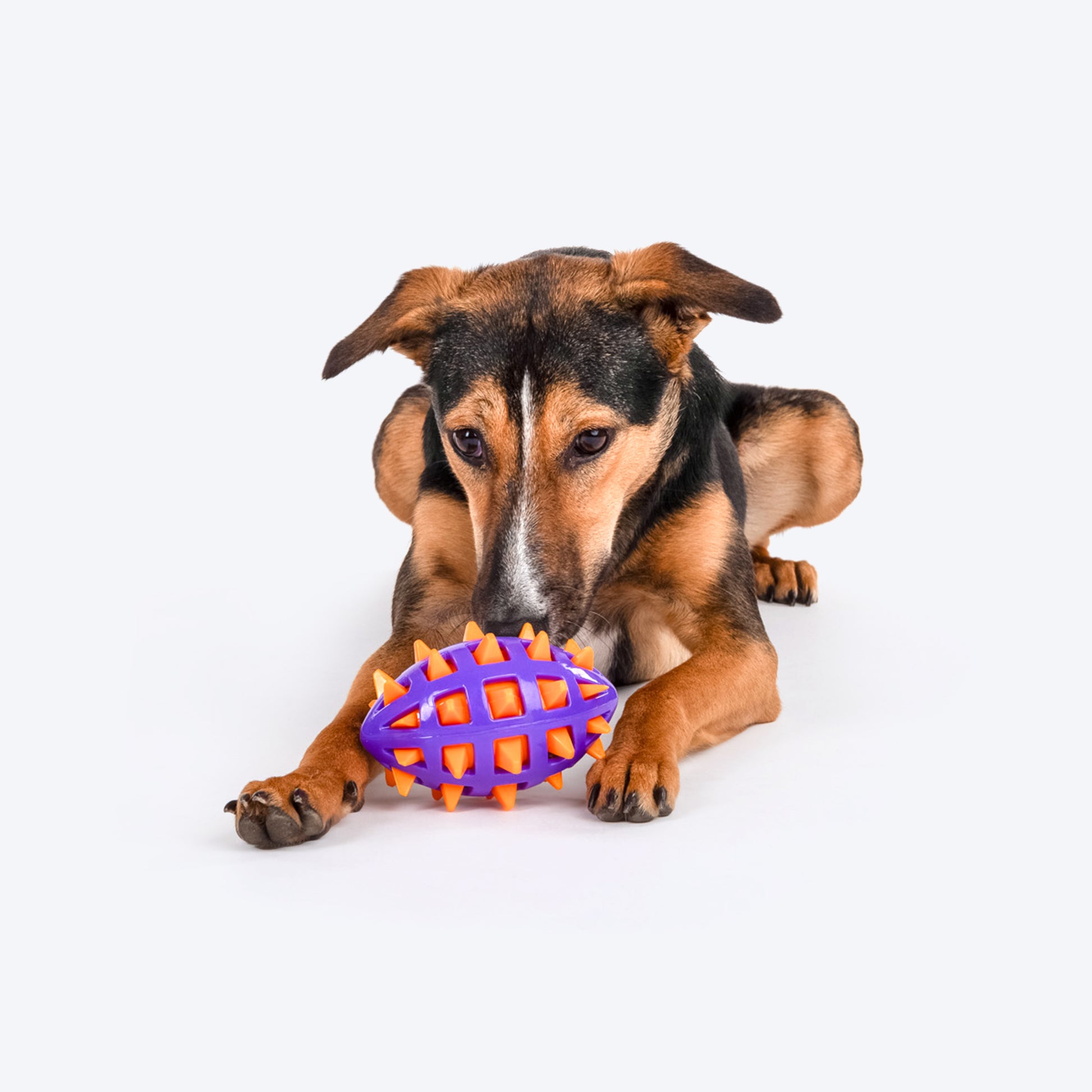 HUFT Basics Rugby Roll Squeaky Toy For Dog - Heads Up For Tails