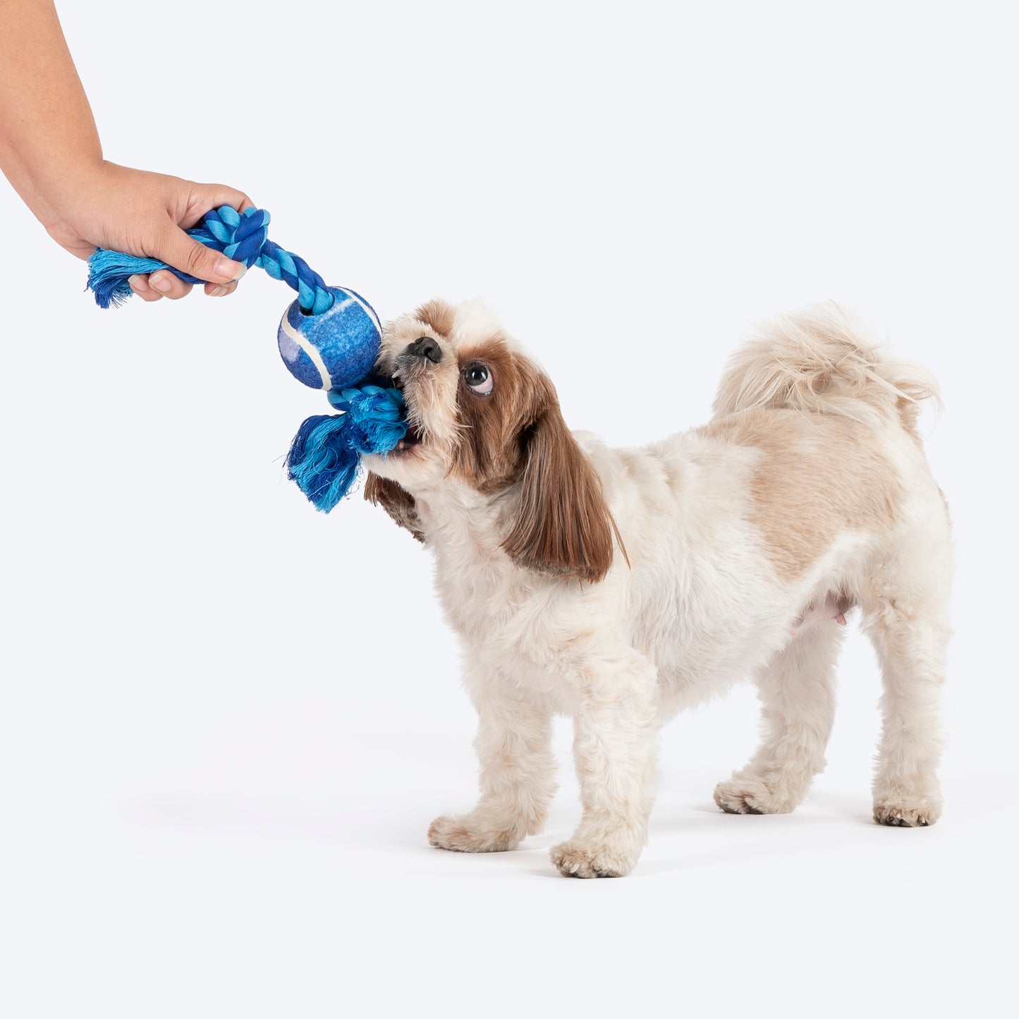 Dash Dog Toss & Tug Rope Toy For Dog - Navy Blue & Turquoise_02