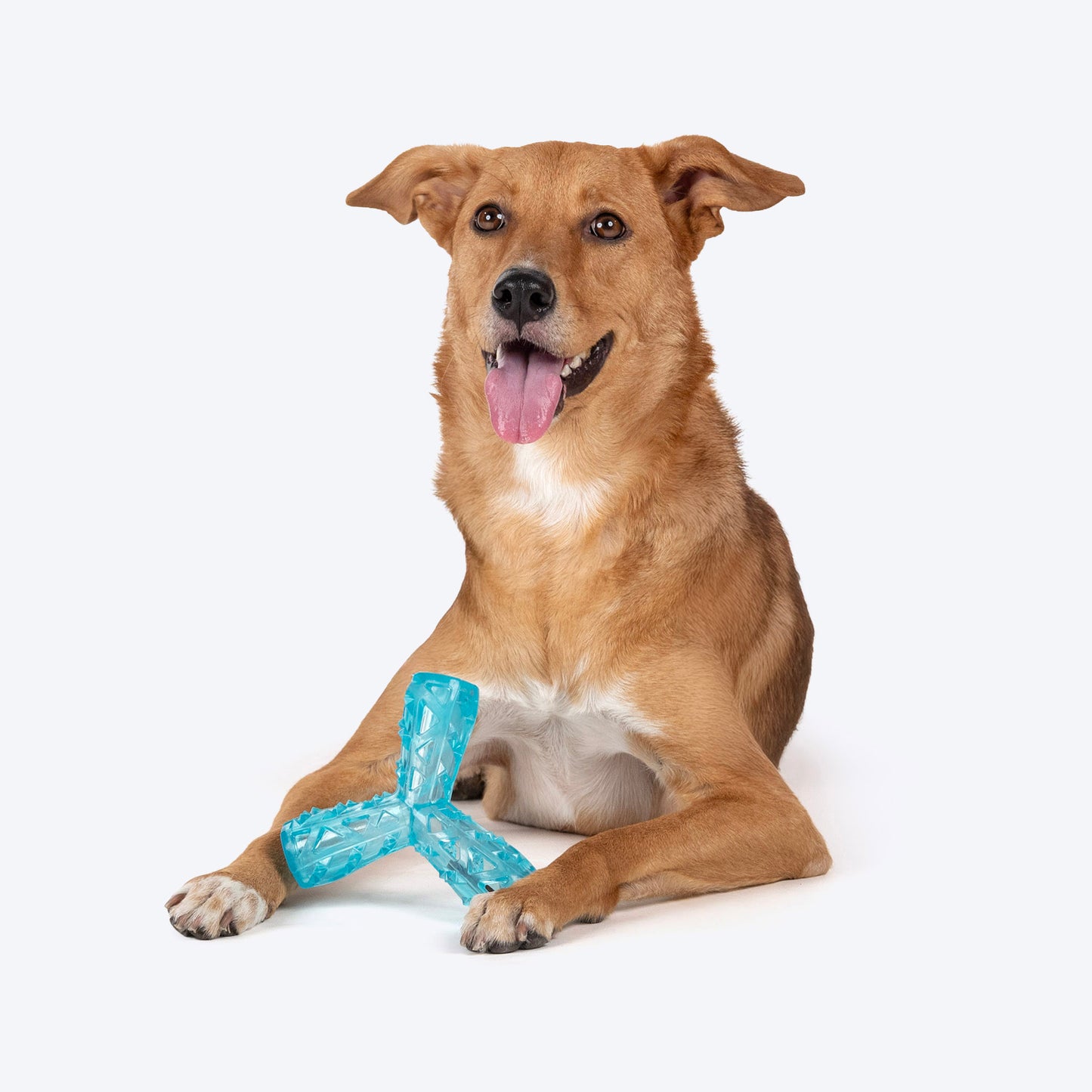 Dash Dog Squeak & Snack Chew Toy For Dog - Blue - Heads Up For Tails