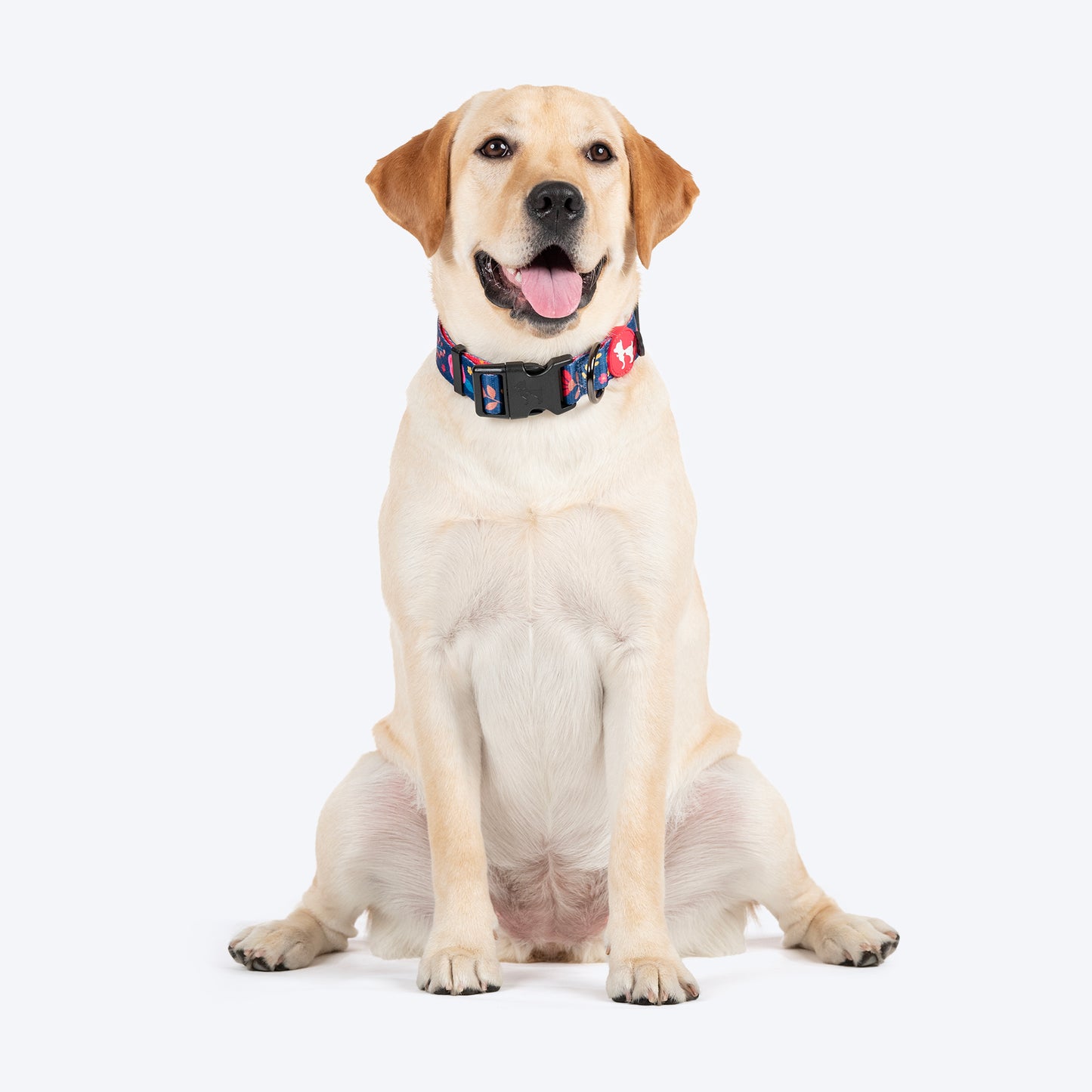 HUFT Bloomscape Collar For Dog - Navy - Heads Up For Tails