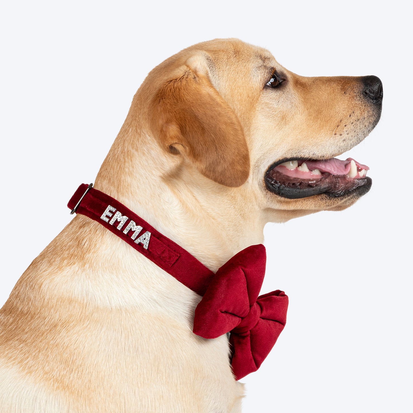 HUFT Personalised Luxe Velvet Bling Fabric Collar With Bow Tie For Dog - Maroon - Heads Up For Tails