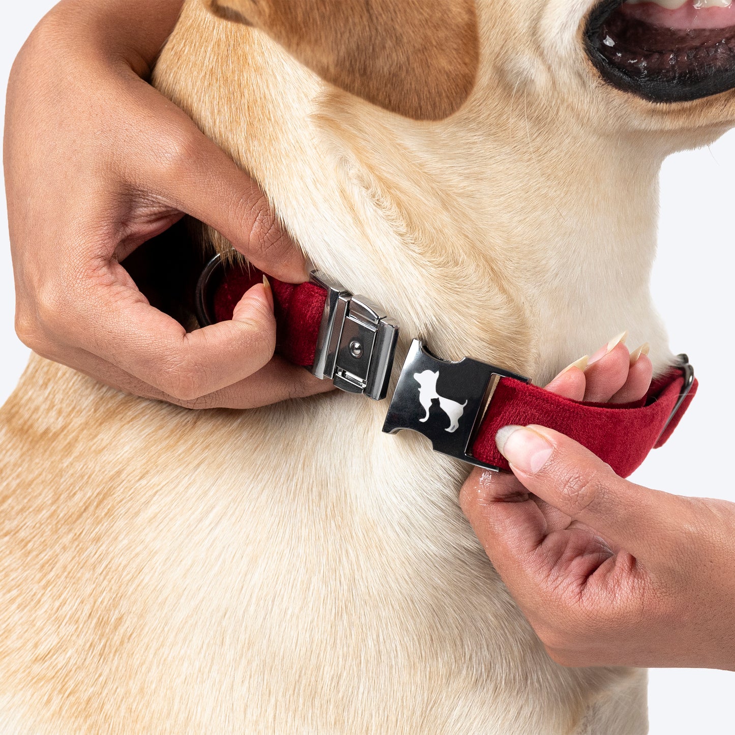 HUFT Personalised Luxe Velvet Bling Fabric Collar With Bow Tie For Dog - Maroon - Heads Up For Tails