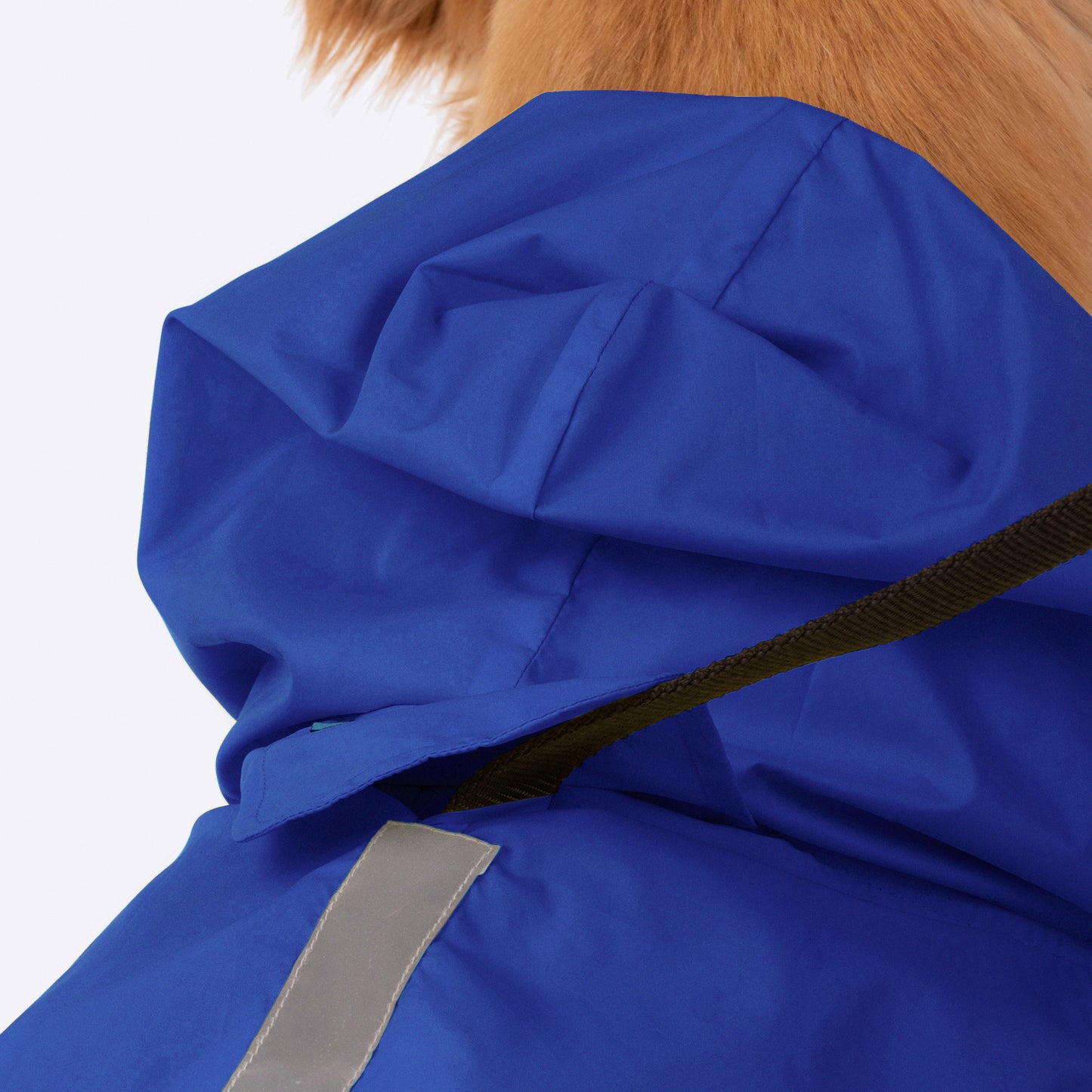 HUFT Magical Mist Dog Raincoat - Blue - Heads Up For Tails