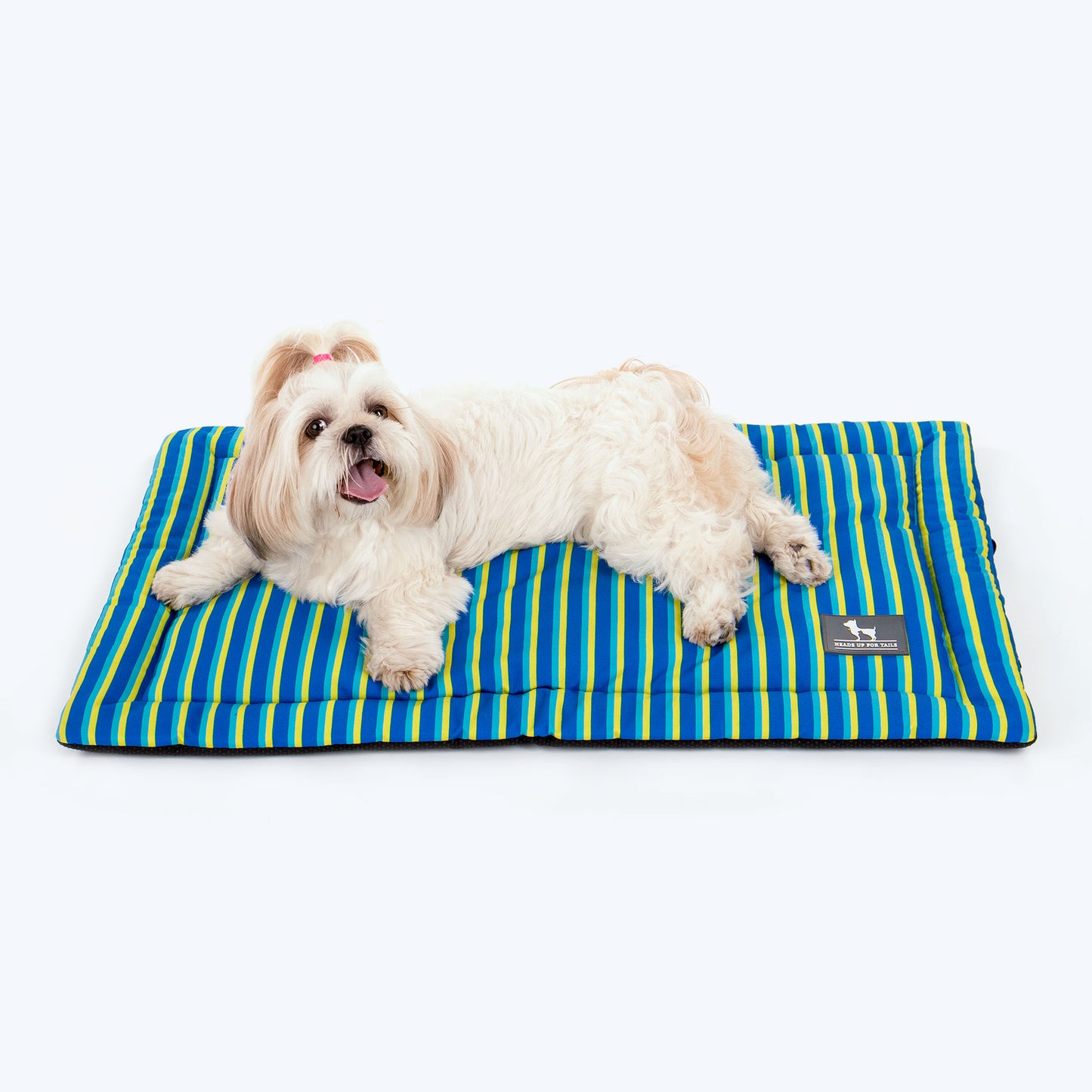 HUFT Blazing Blue Pet Mat - Blue & Neon Green_02