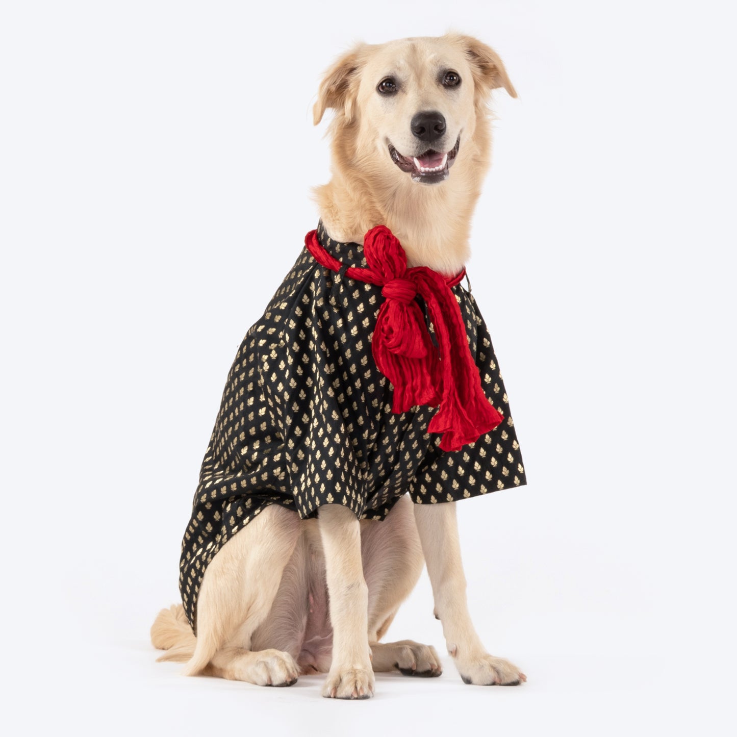 HUFT Personalised Black Brocade Dog Sherwani_01