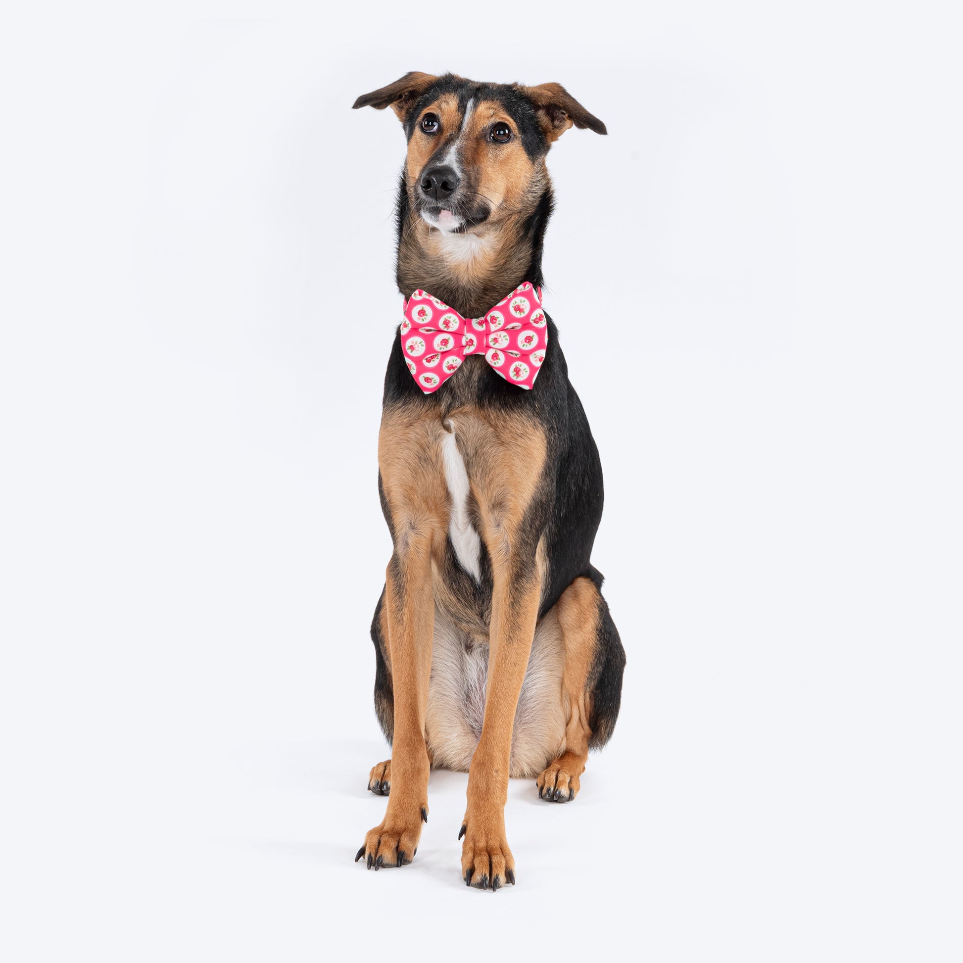 HUFT Rosy Dreams Collar For Dogs With Free Bow Tie - Pink - Heads Up For Tails