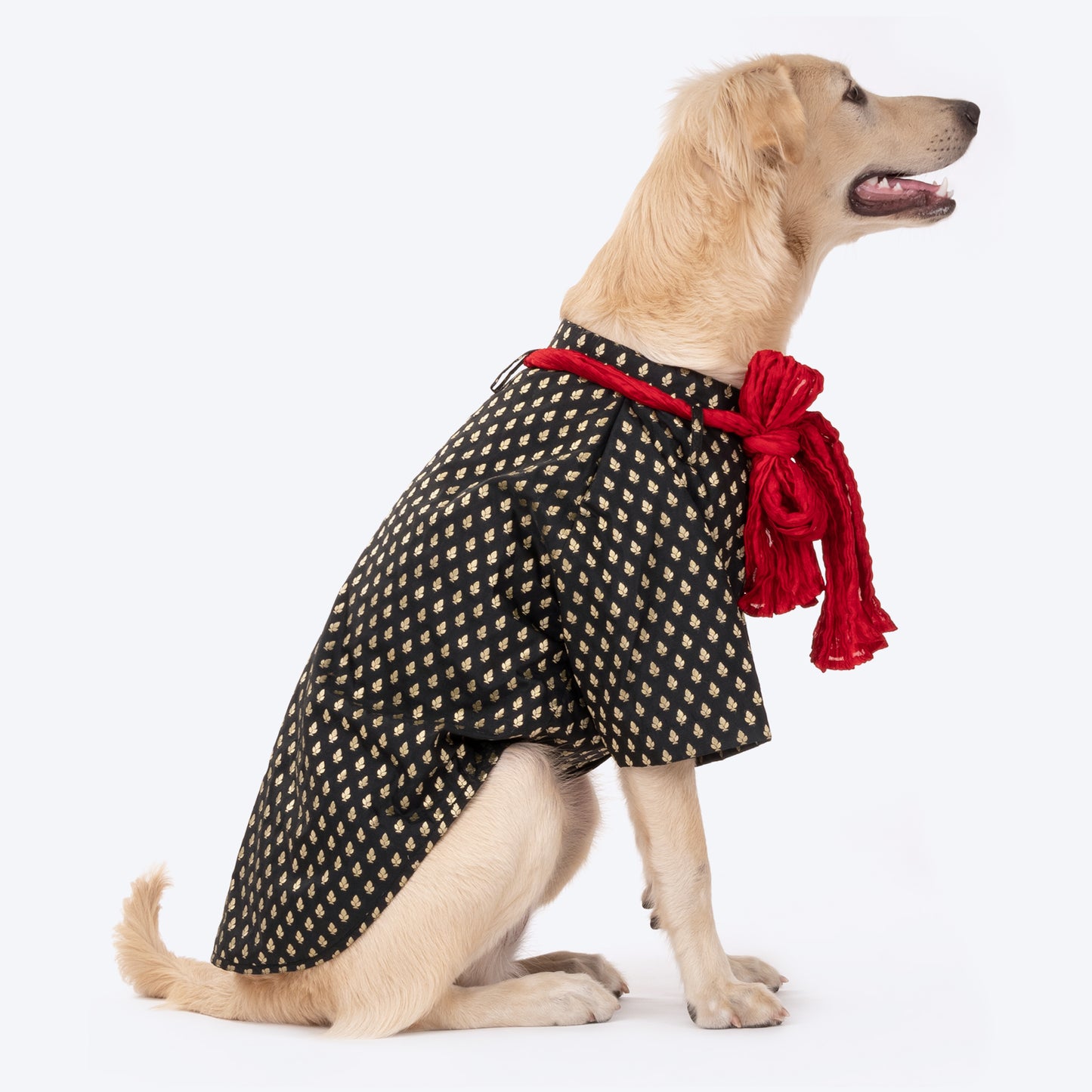 HUFT Personalised Black Brocade Dog Sherwani_02