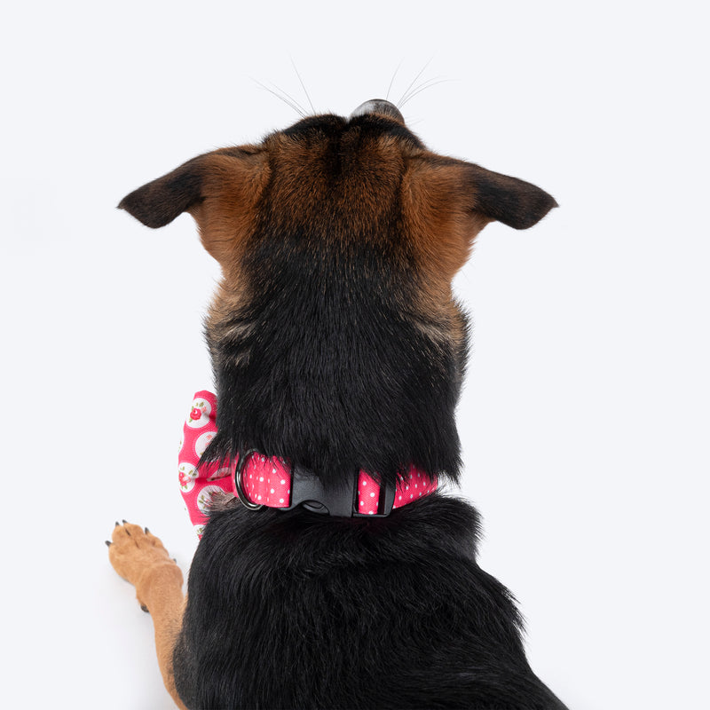 HUFT Rosy Dreams Collar For Dogs With Free Bow Tie - Pink - Heads Up For Tails