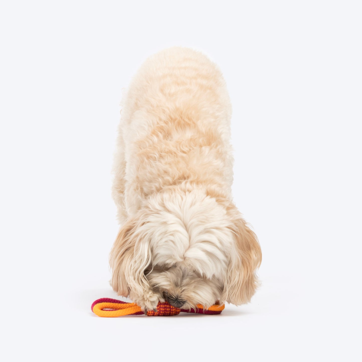 Dash Dog Loopster Rope Toy For Dog - Pink & Orange - Heads Up For Tails
