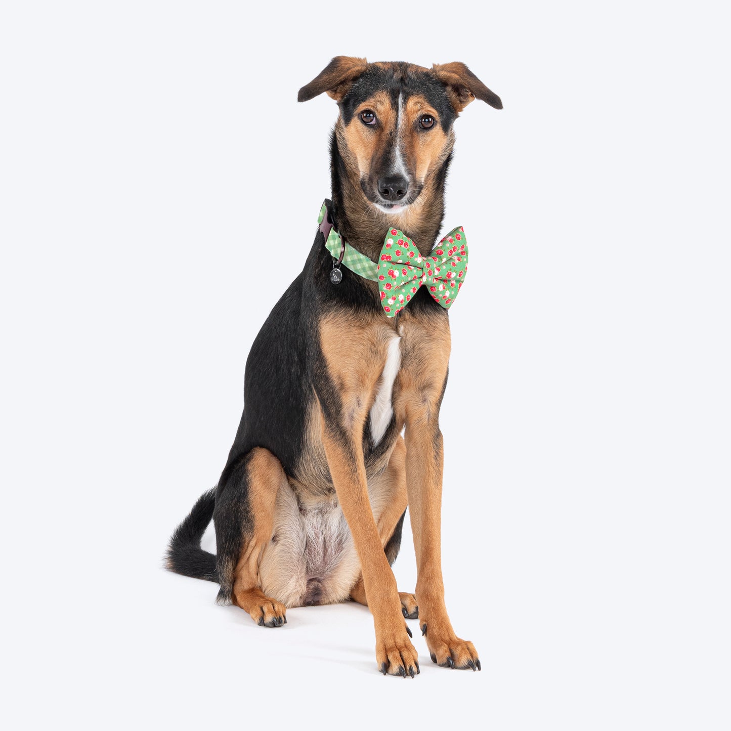 HUFT Pastel Petals Collar For Dogs With Free Bow Tie - Green - Heads Up For Tails