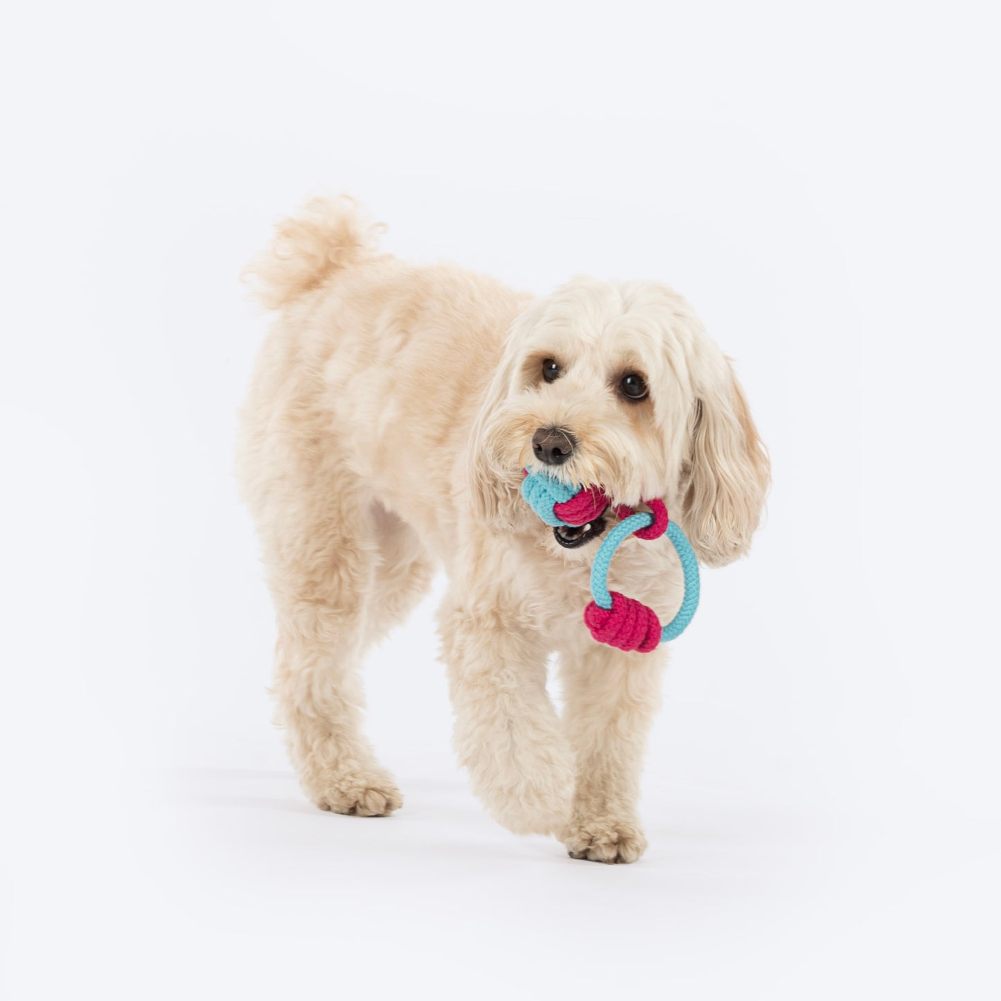 Dash Dog Tugger Ball Rope Toy For Dog - Light Blue & Pink - Heads Up For Tails
