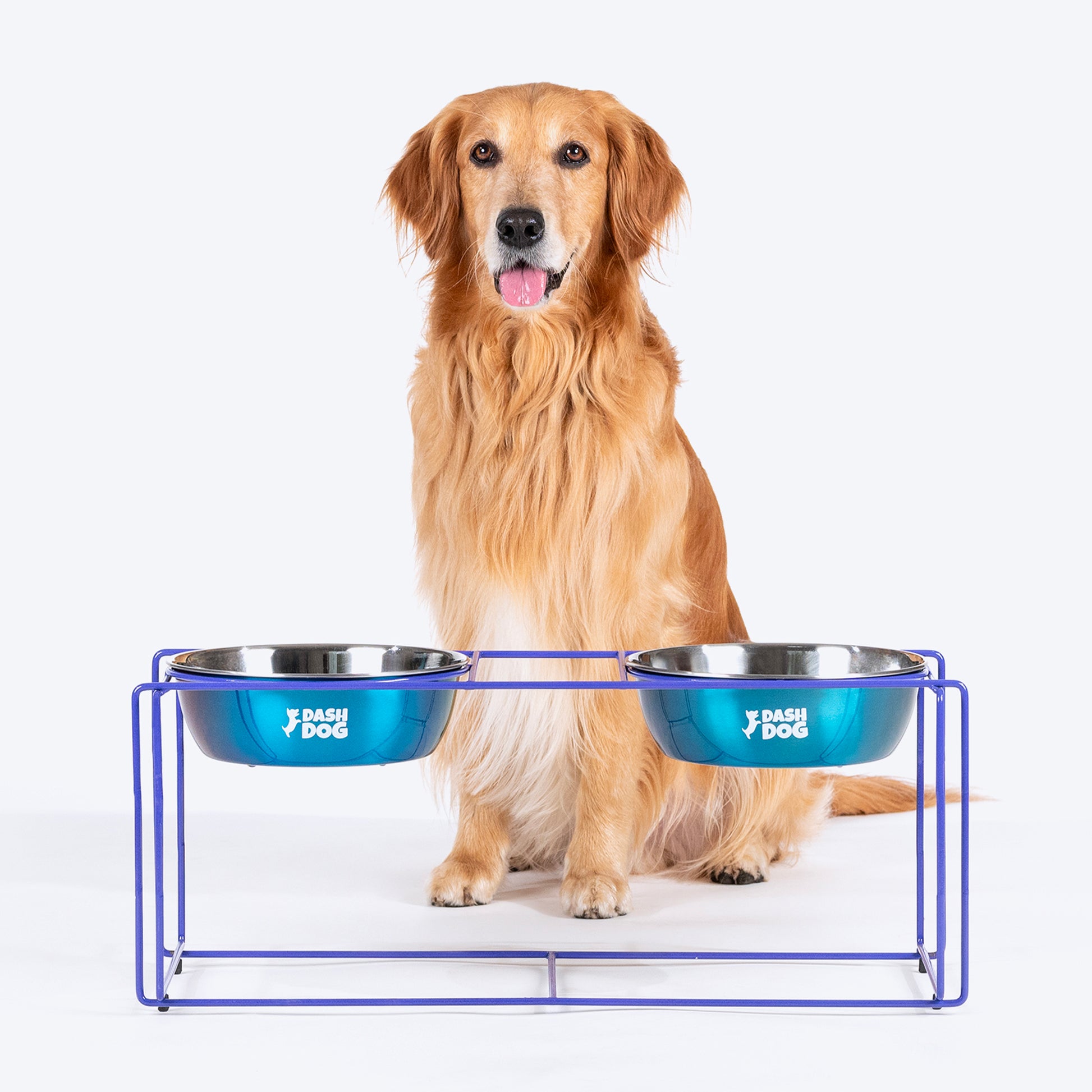 Dash Dog Rainbow Rush Elevated Double Diner With Steel Bowl Inserts For Dog - Violet - Heads Up For Tails
