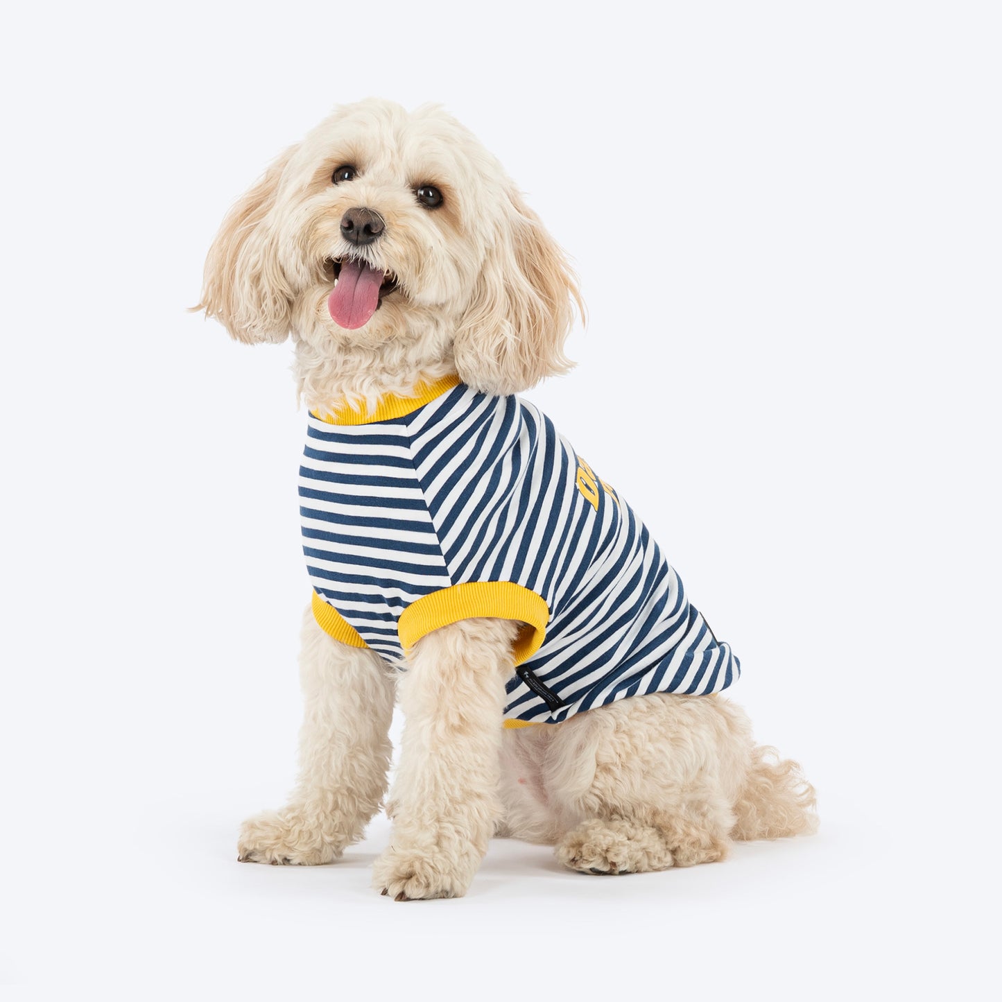 HUFT Dapper Doggo Striped T-Shirt For Dog - Navy Blue & White - Heads Up For Tails