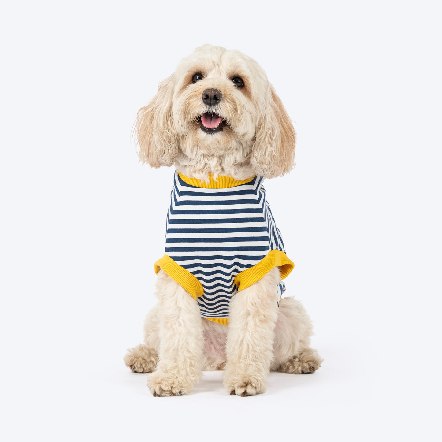 HUFT Dapper Doggo Striped T-Shirt For Dog - Navy Blue & White - Heads Up For Tails