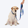 HUFT Scribble Dribble Leash For Dog – Blue - Heads Up For Tails