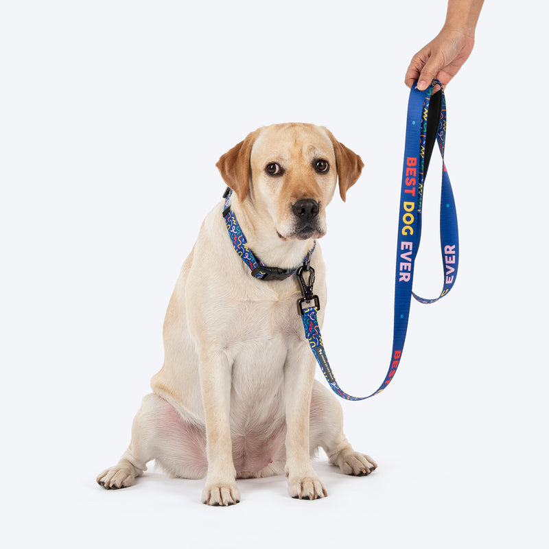 HUFT Scribble Dribble Leash For Dog – Blue - Heads Up For Tails