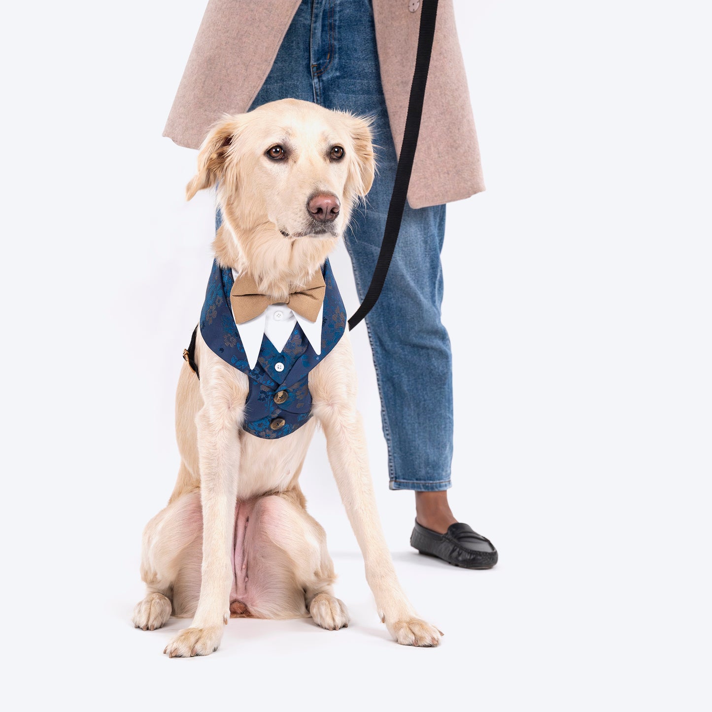 HUFT Made To Order Festive Tuxedo Dog Harness - Heads Up For Tails