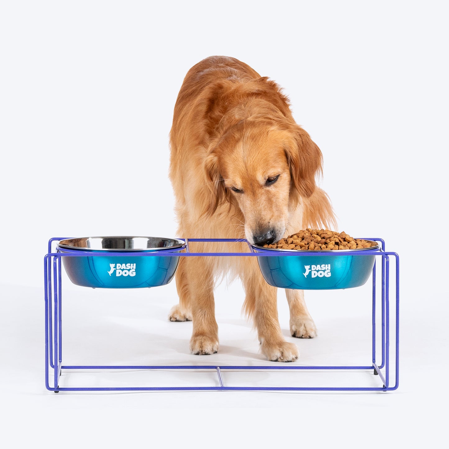 Dash Dog Rainbow Rush Elevated Double Diner With Steel Bowl Inserts For Dog - Violet - Heads Up For Tails