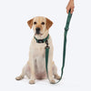 HUFT Classic Leash For Dog - Green - Heads Up For Tails
