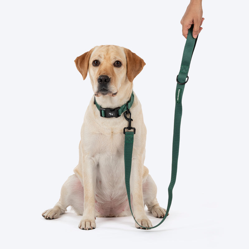 HUFT Classic Leash For Dog - Green - Heads Up For Tails