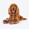 Dash Dog Triple Twist Toy For Dog_03