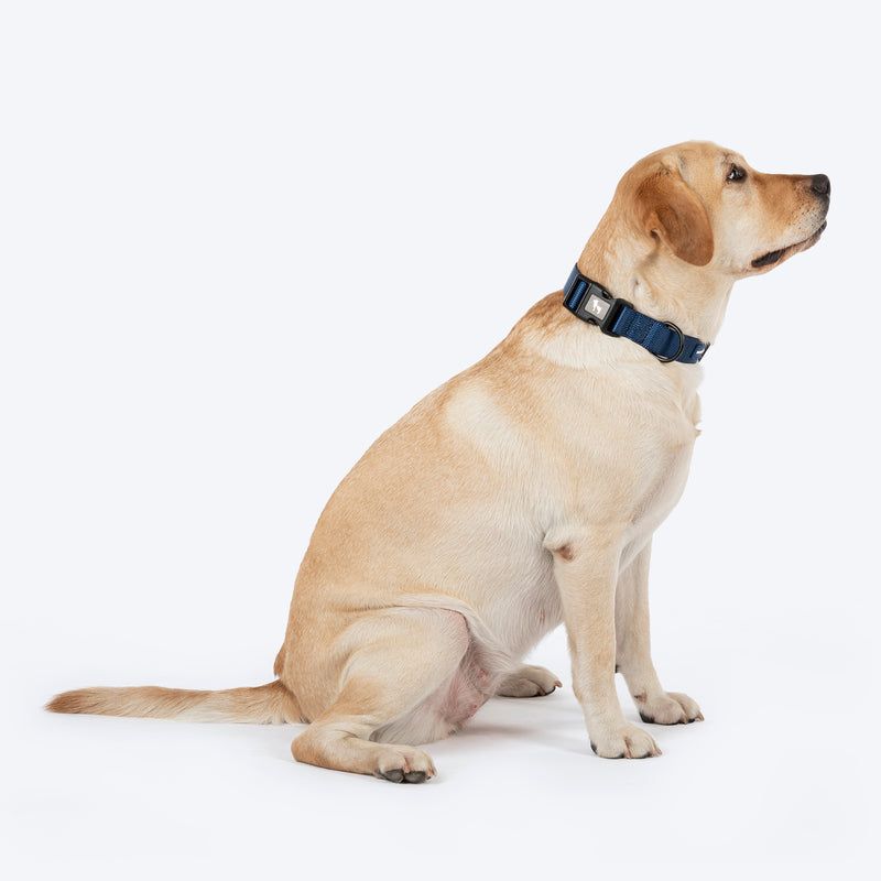 HUFT Classic Collar For Dog - Navy - Heads Up For Tails